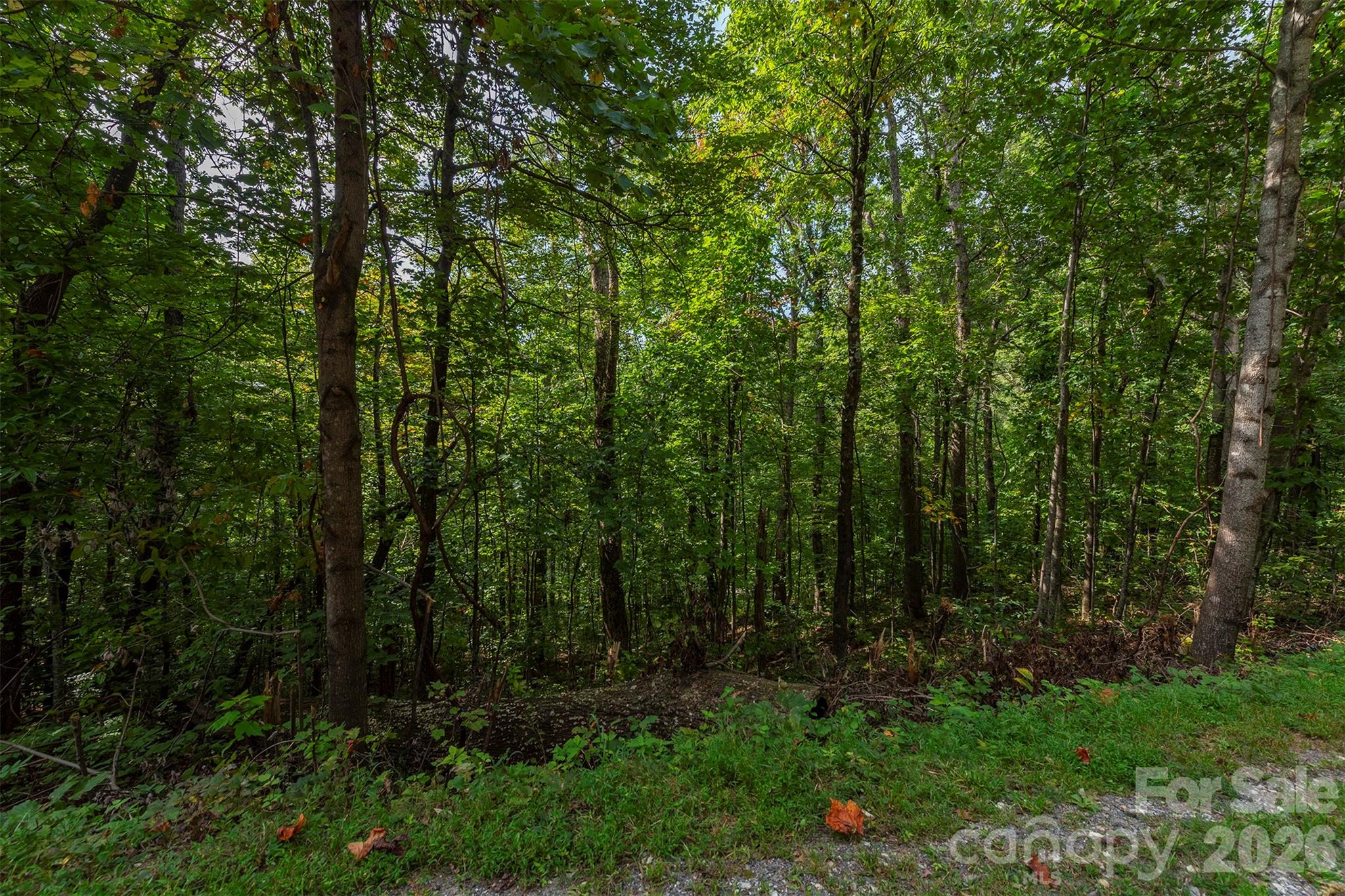 99999 Gateway Parkway Old Fort NC 28762