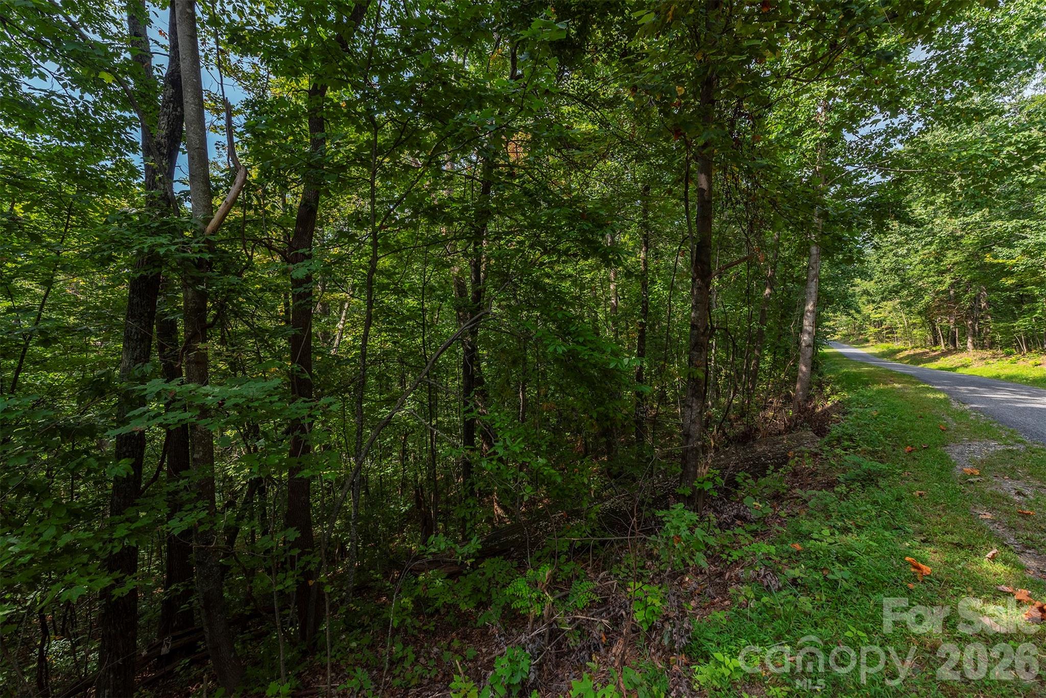 99999 Gateway Parkway Old Fort NC 28762