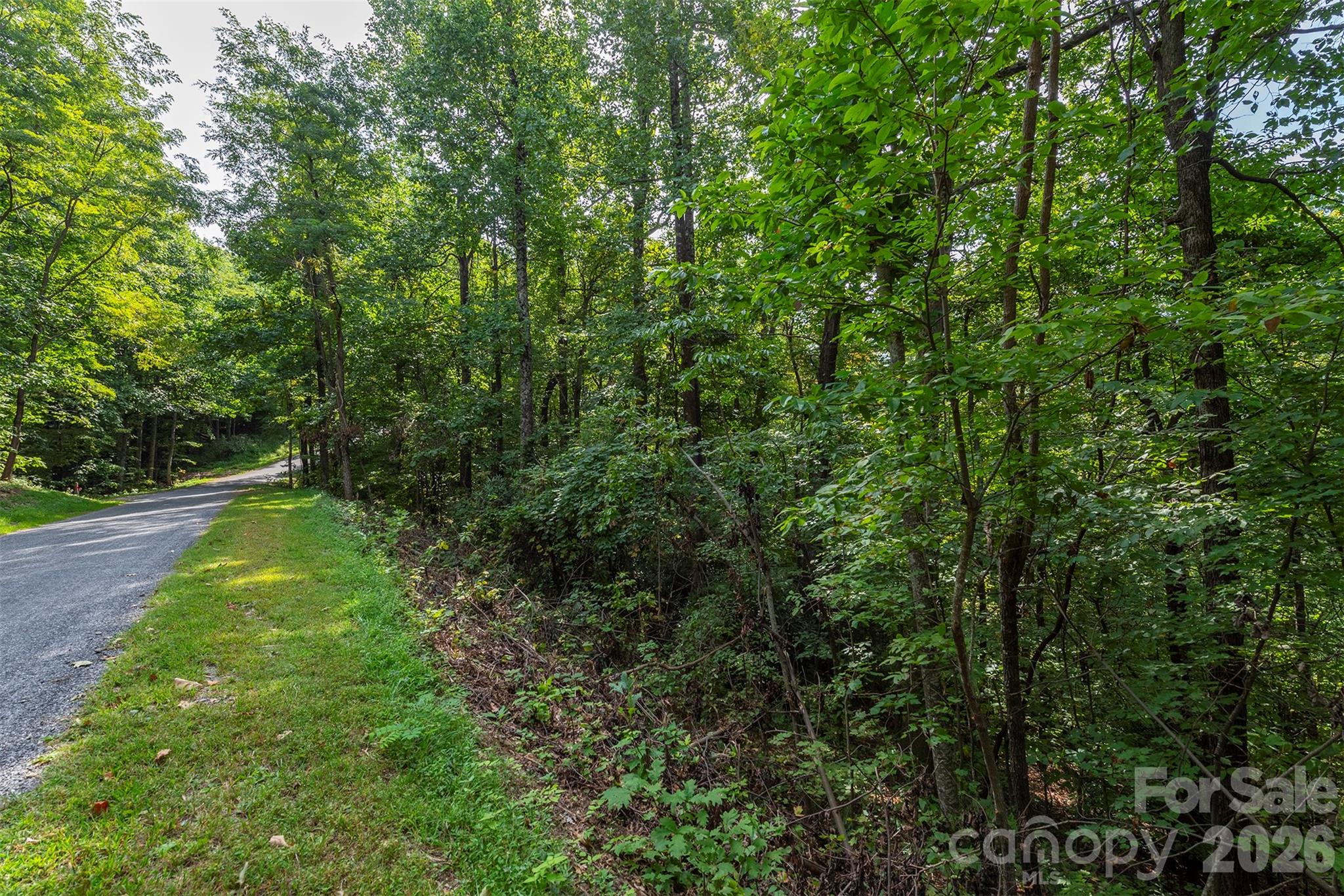 99999 Gateway Parkway Old Fort NC 28762