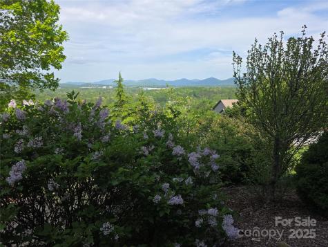 99999 Red Oak Drive Mills River NC 28759