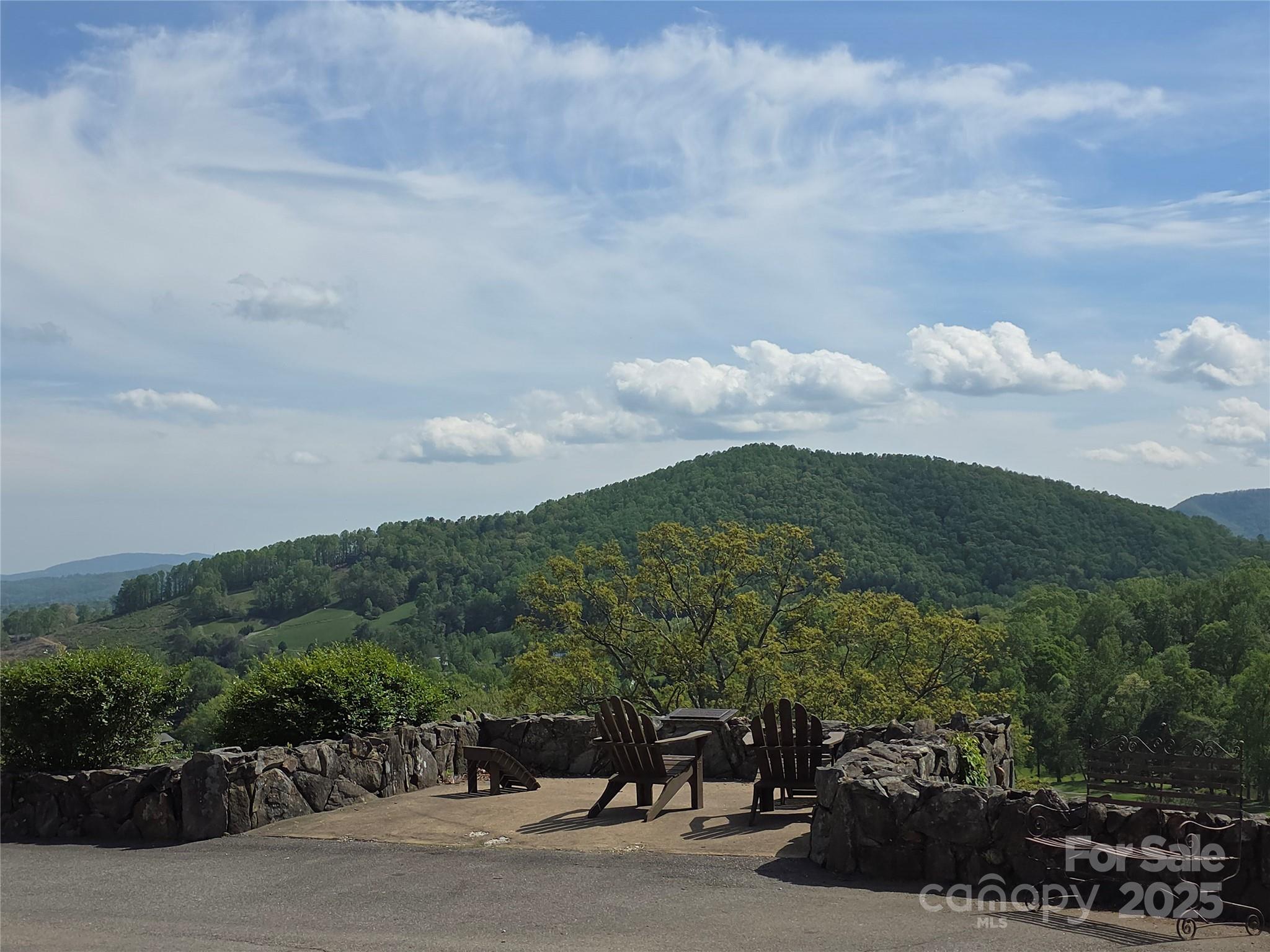 99999 Red Oak Drive Mills River NC 28759
