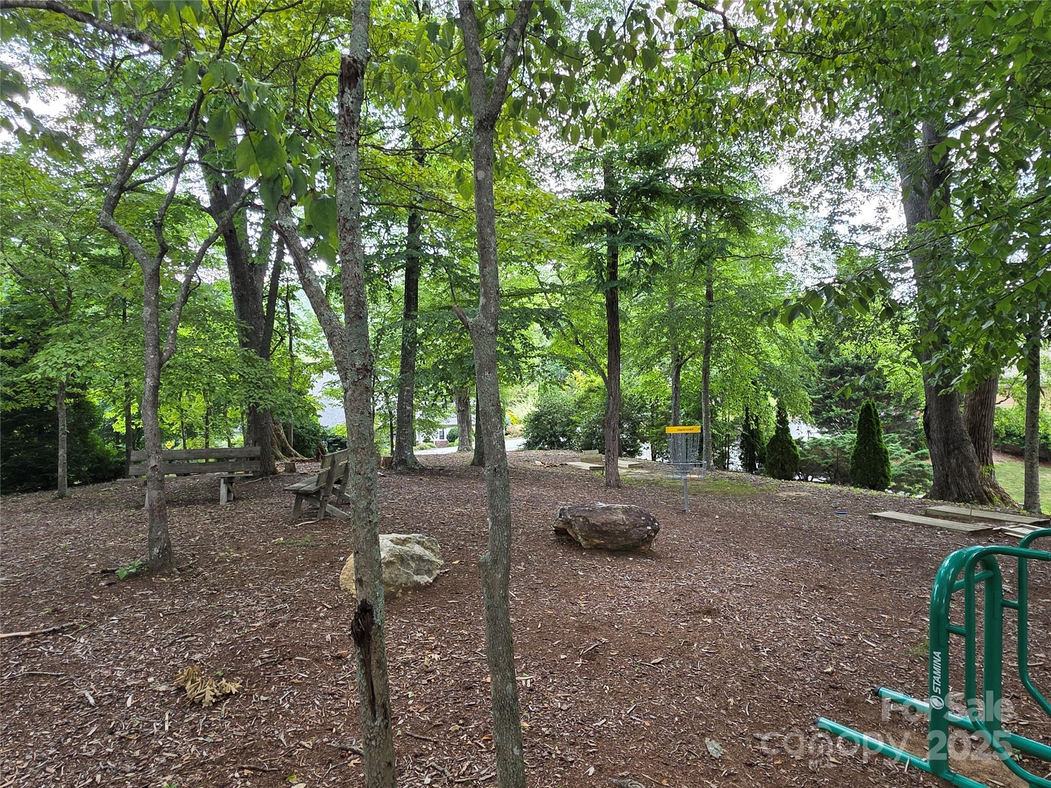 99999 Red Oak Drive Mills River NC 28759