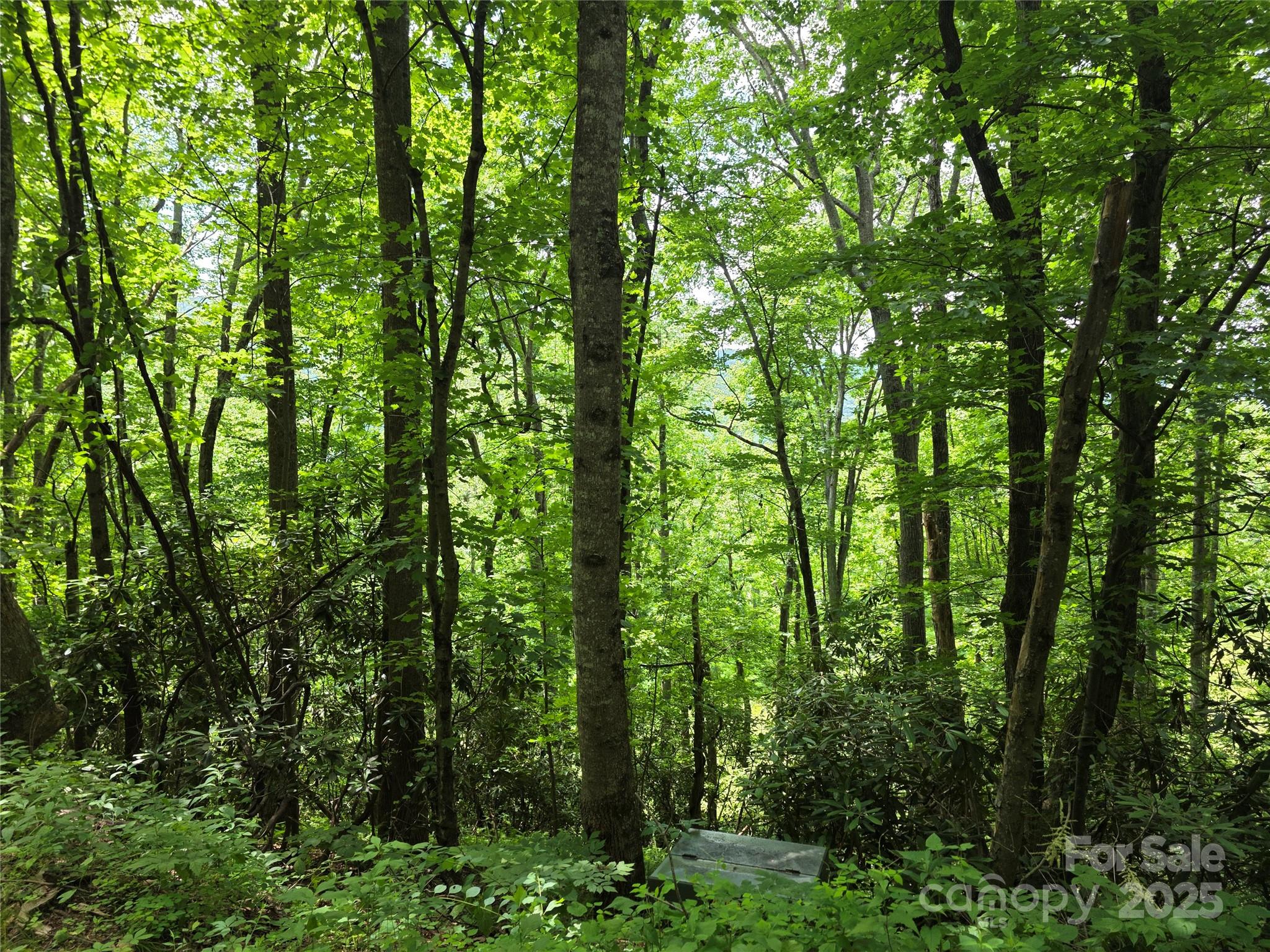 99999 Red Oak Drive Mills River NC 28759