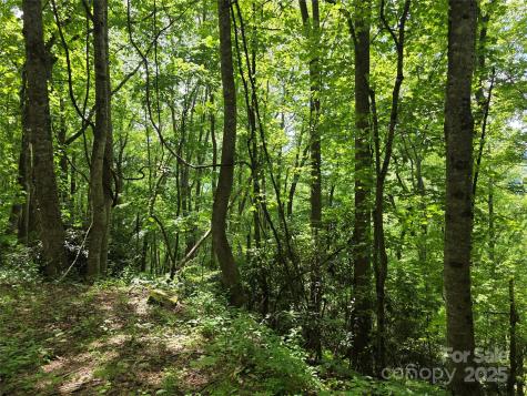 99999 Red Oak Drive Mills River NC 28759