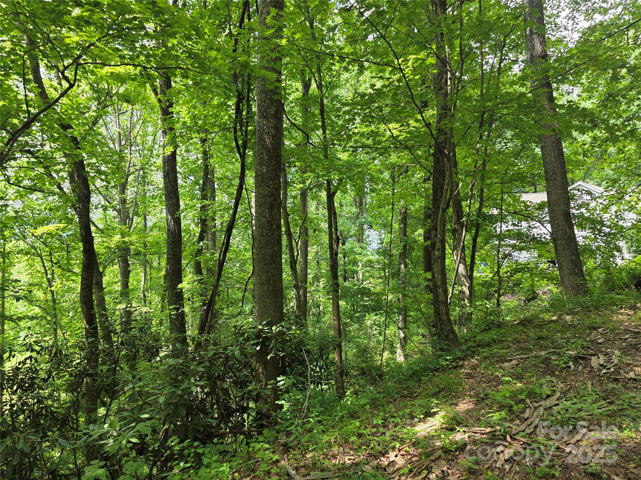 99999 Red Oak Drive Mills River NC 28759