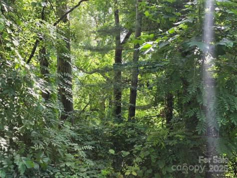 99999 Red Oak Drive Mills River NC 28759