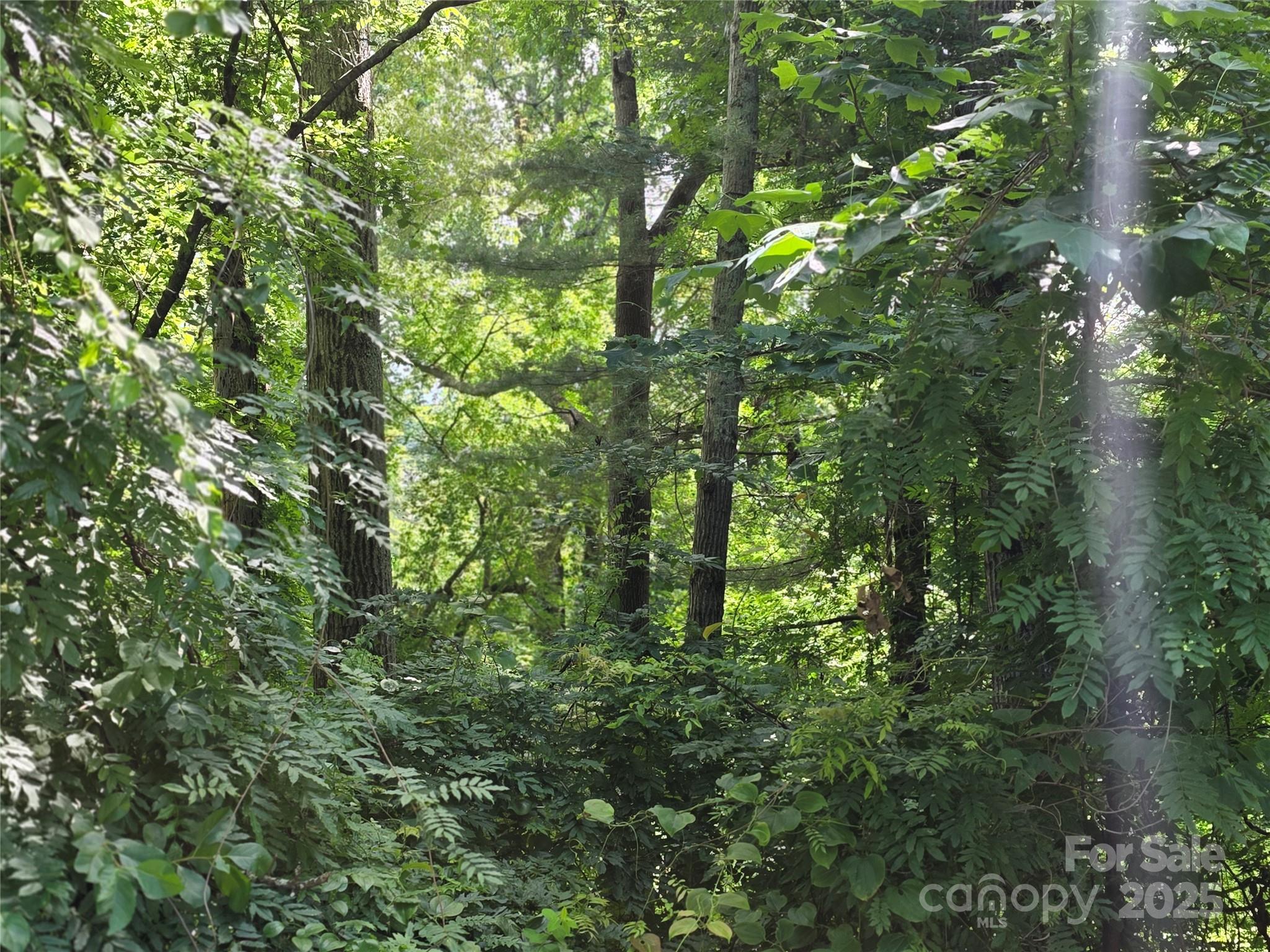 99999 Red Oak Drive Mills River NC 28759