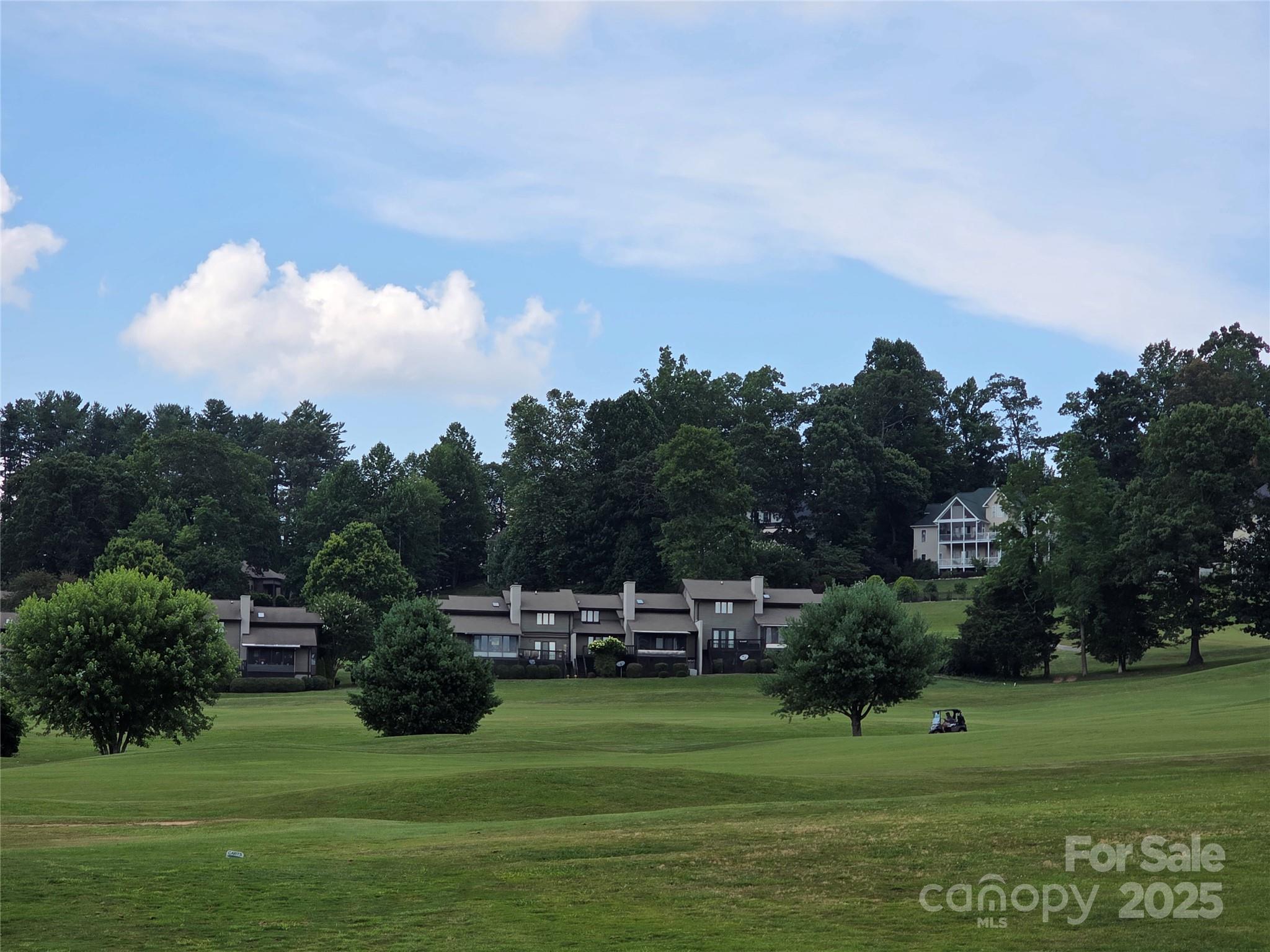 99999 Red Oak Drive Mills River NC 28759