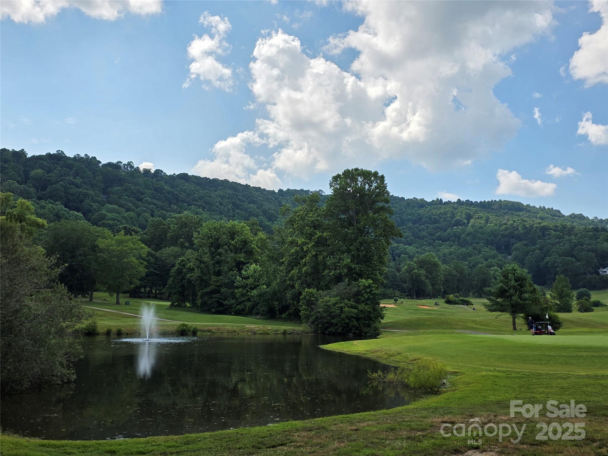 99999 Red Oak Drive Mills River NC 28759
