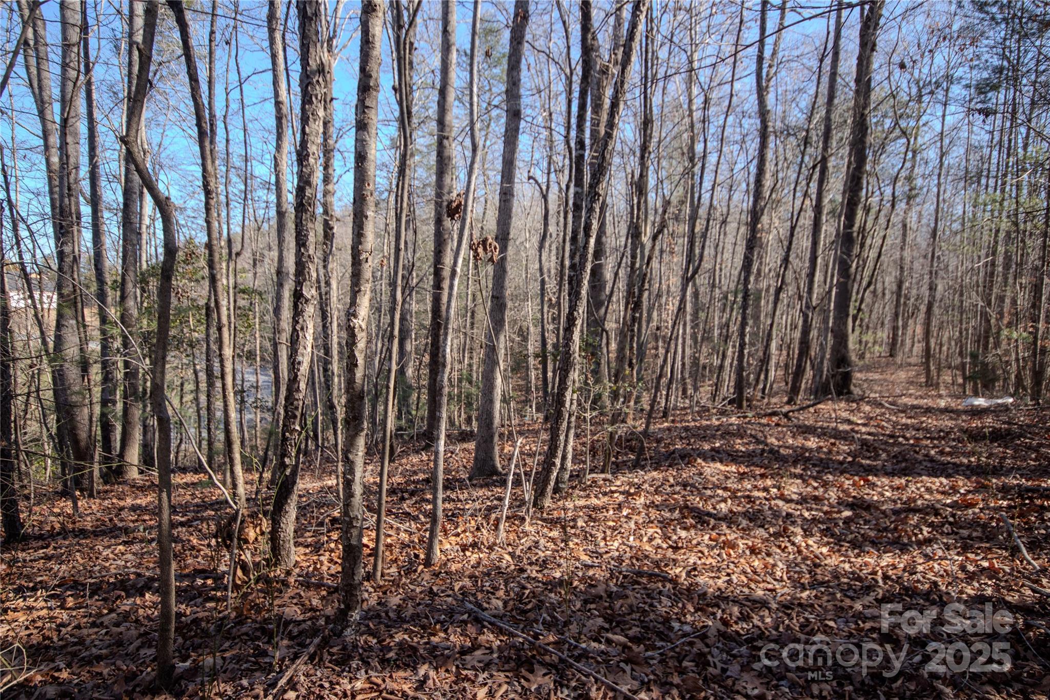 Lot# 81 Huntington Woods Street SE Lenoir NC 28645