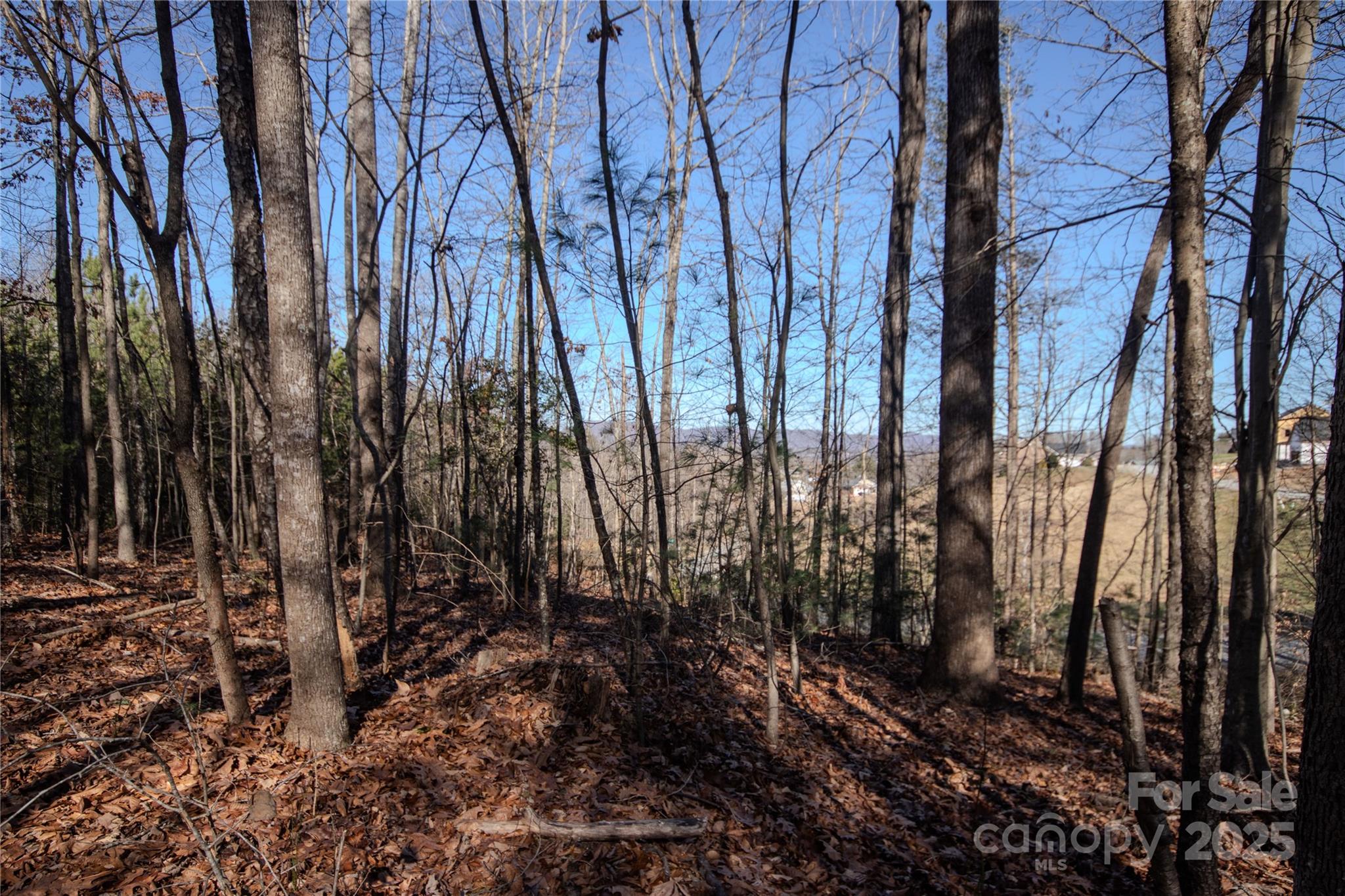 Lot# 81 Huntington Woods Street SE Lenoir NC 28645