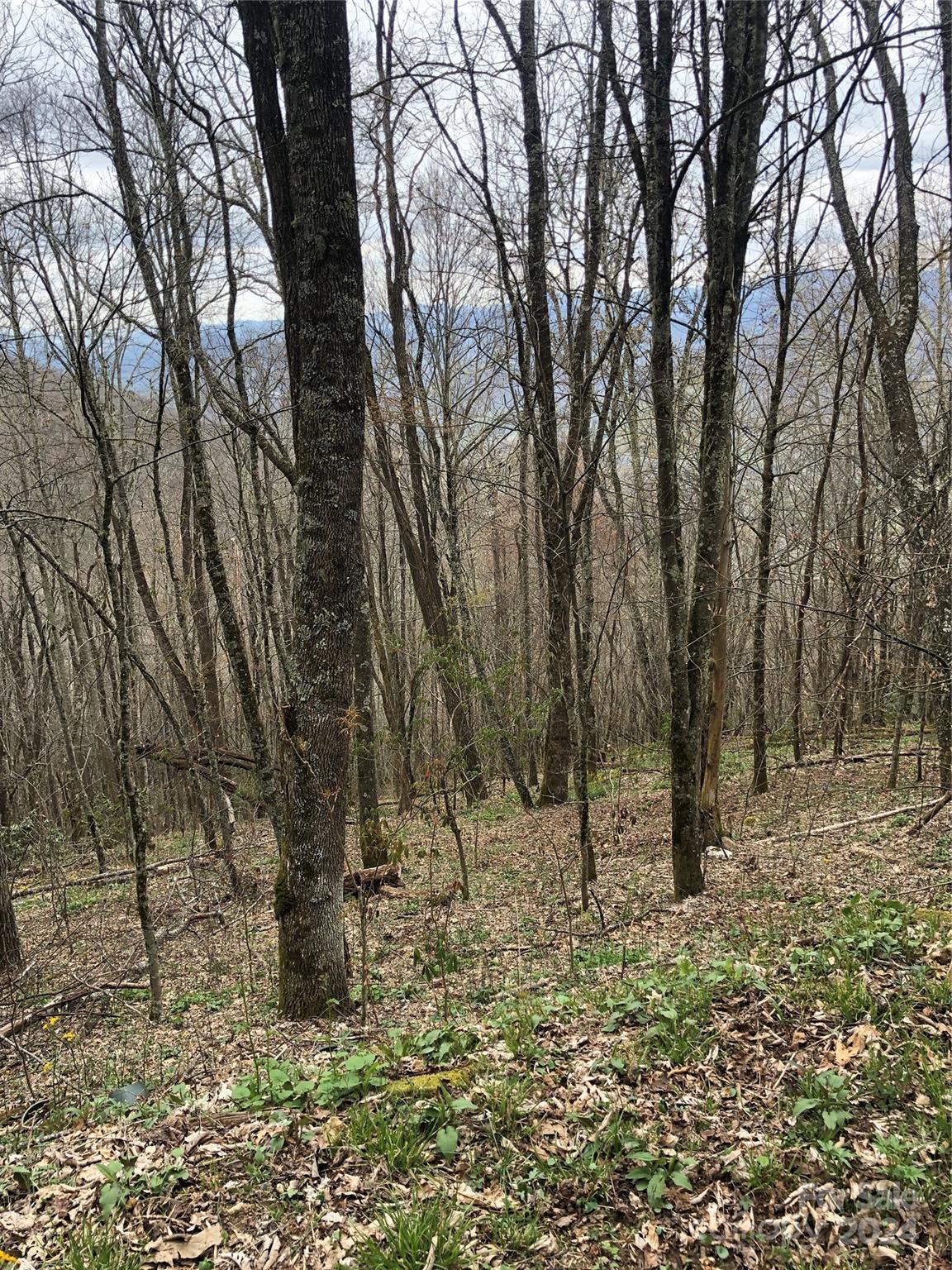 Lot 18 Quail Ridge Drive Maggie Valley NC 28751