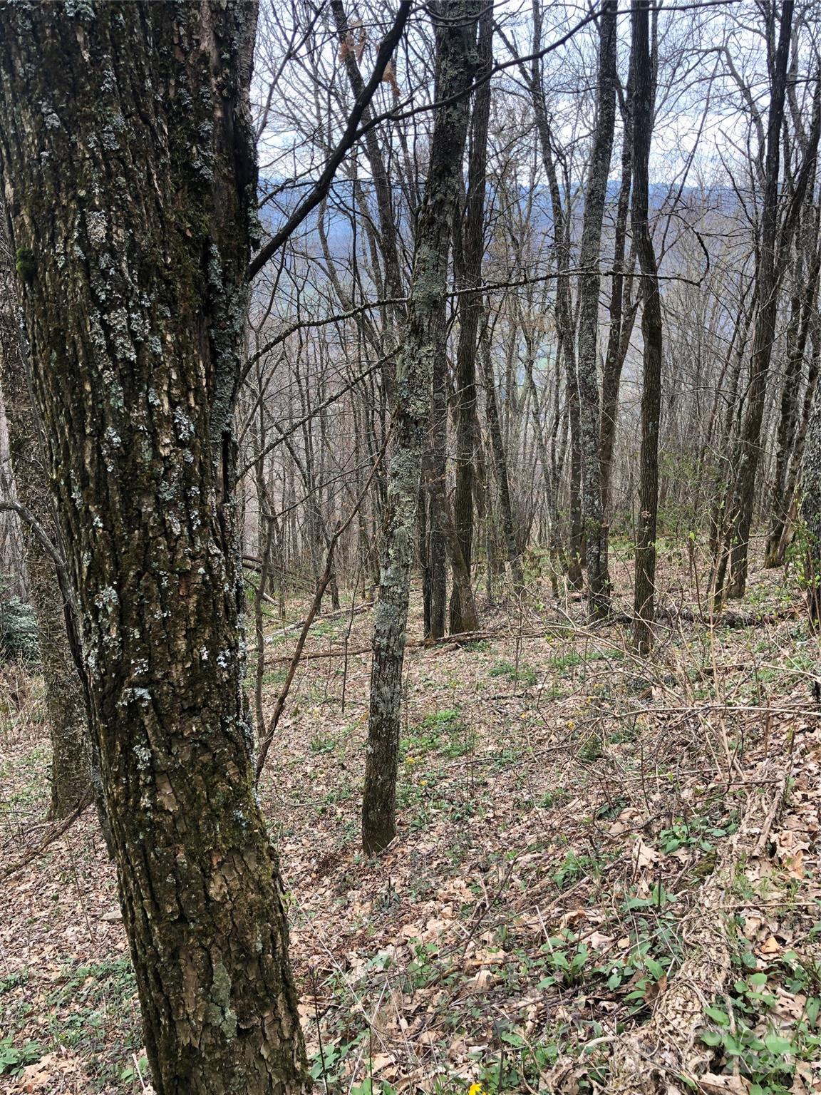 Lot 18 Quail Ridge Drive Maggie Valley NC 28751