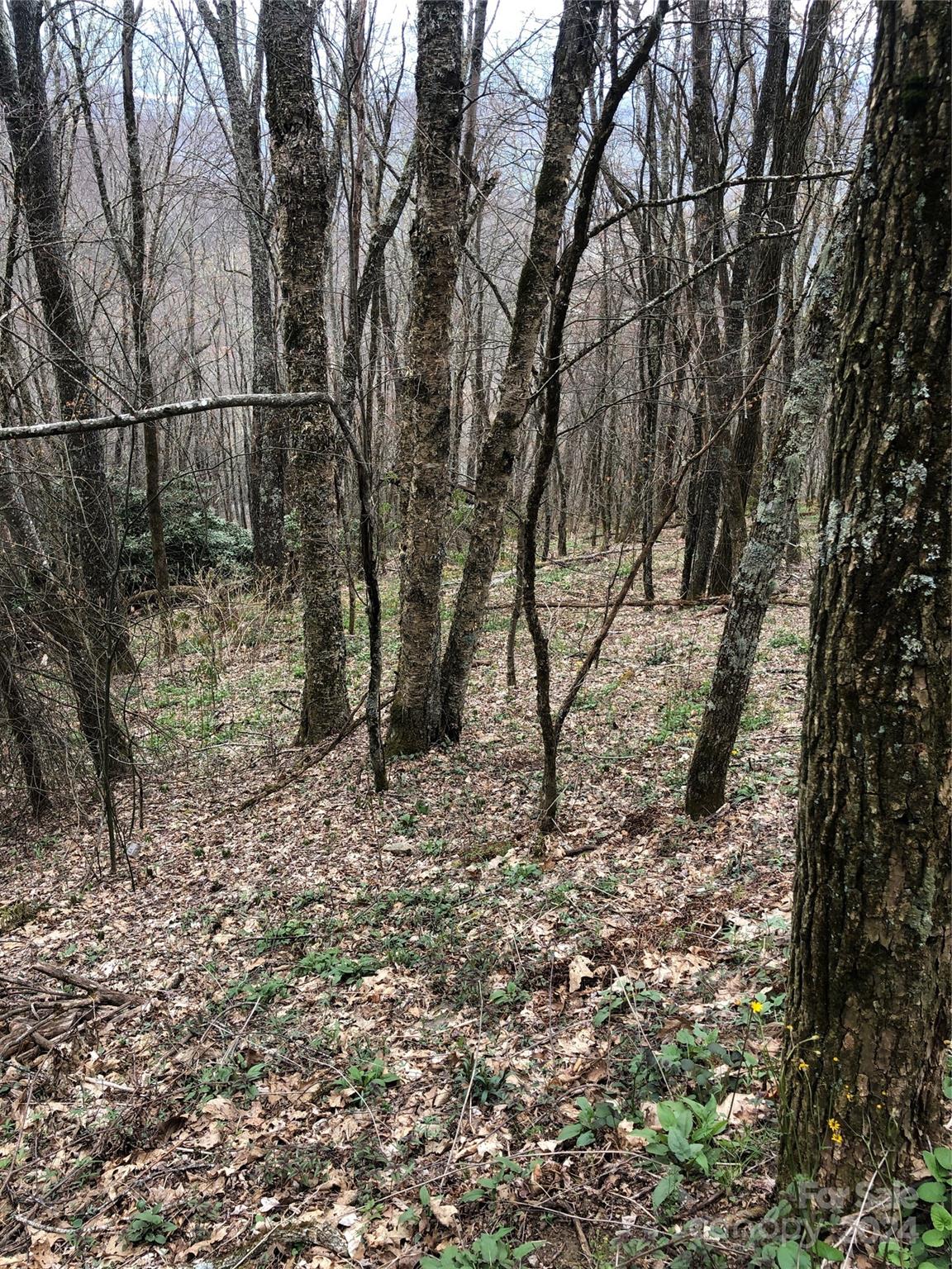 Lot 18 Quail Ridge Drive Maggie Valley NC 28751