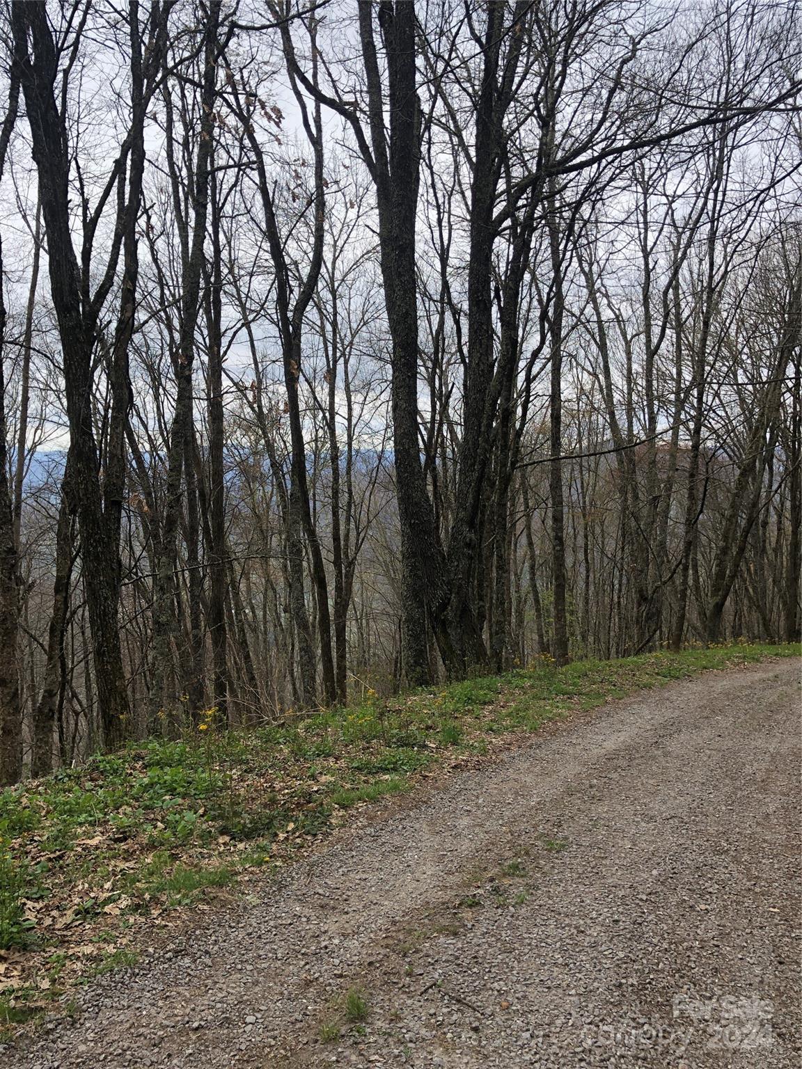 Lot 18 Quail Ridge Drive Maggie Valley NC 28751