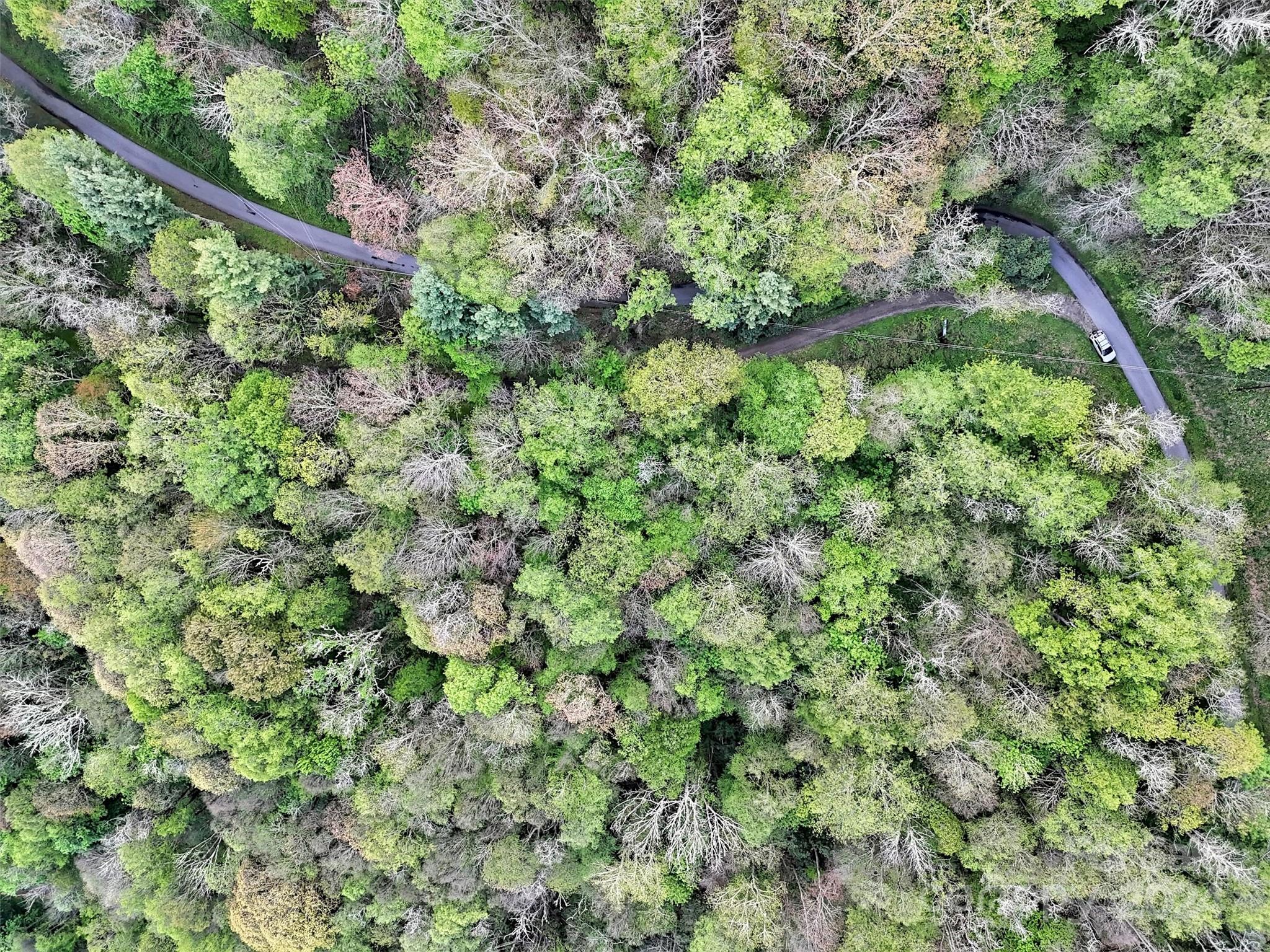 Lot 18 Quail Ridge Drive Maggie Valley NC 28751