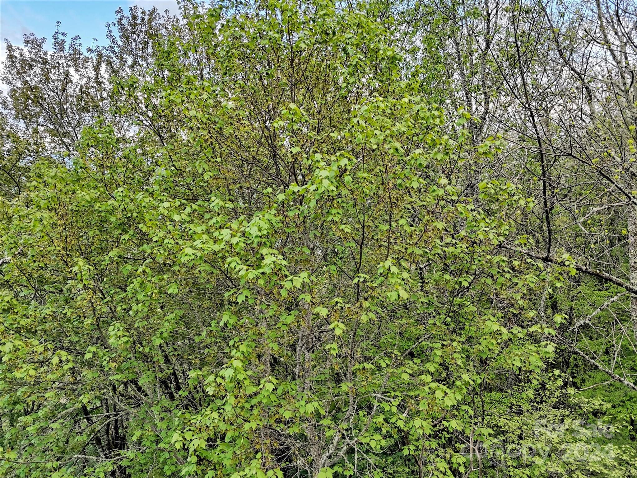 Lot 18 Quail Ridge Drive Maggie Valley NC 28751