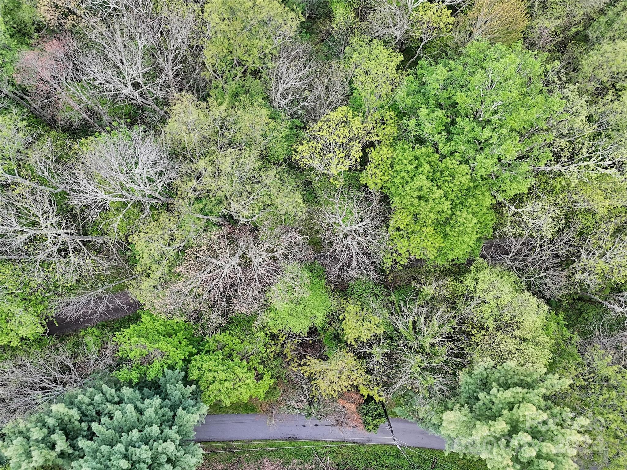 Lot 18 Quail Ridge Drive Maggie Valley NC 28751