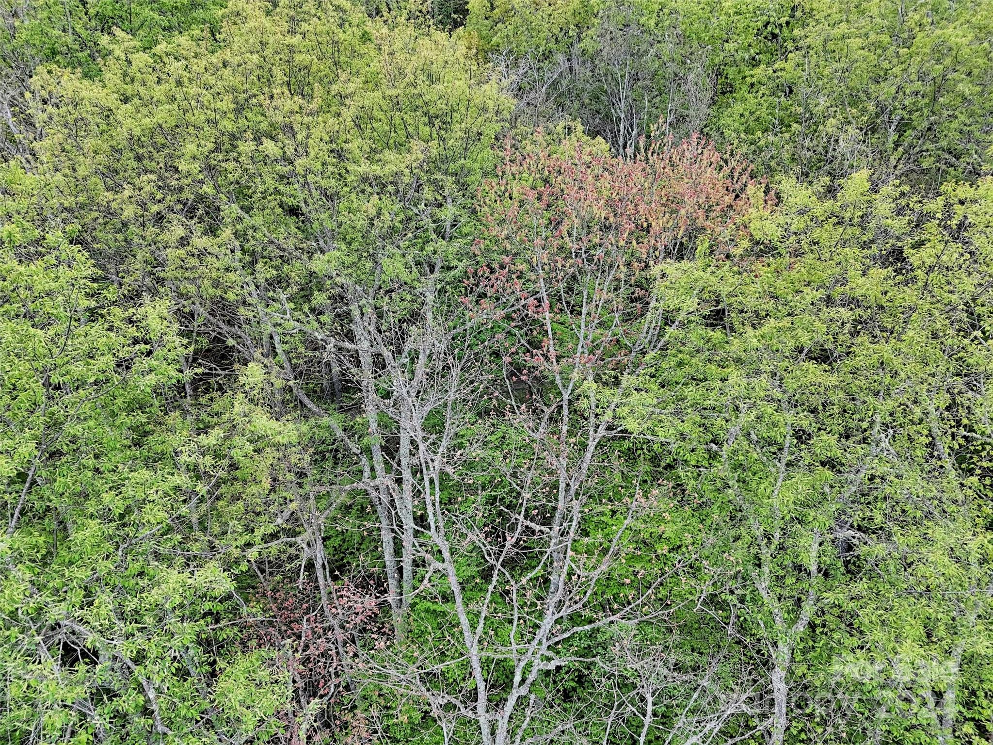 Lot 18 Quail Ridge Drive Maggie Valley NC 28751