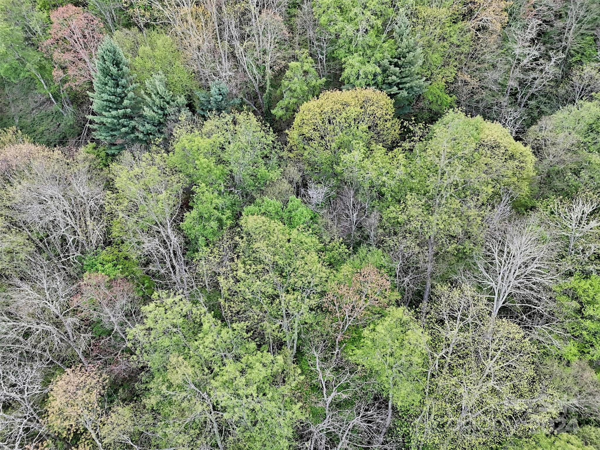 Lot 18 Quail Ridge Drive Maggie Valley NC 28751