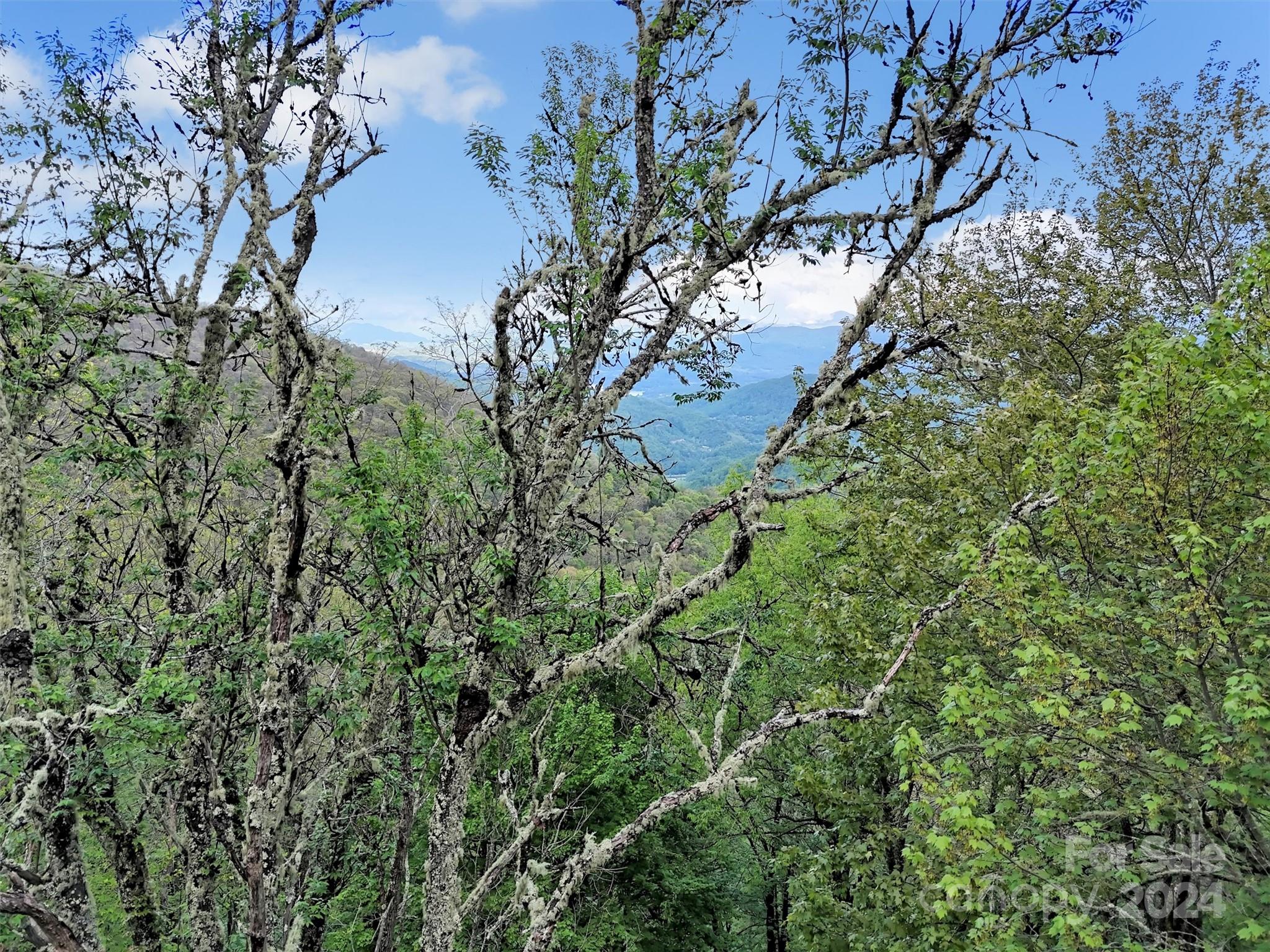 Lot 18 Quail Ridge Drive Maggie Valley NC 28751