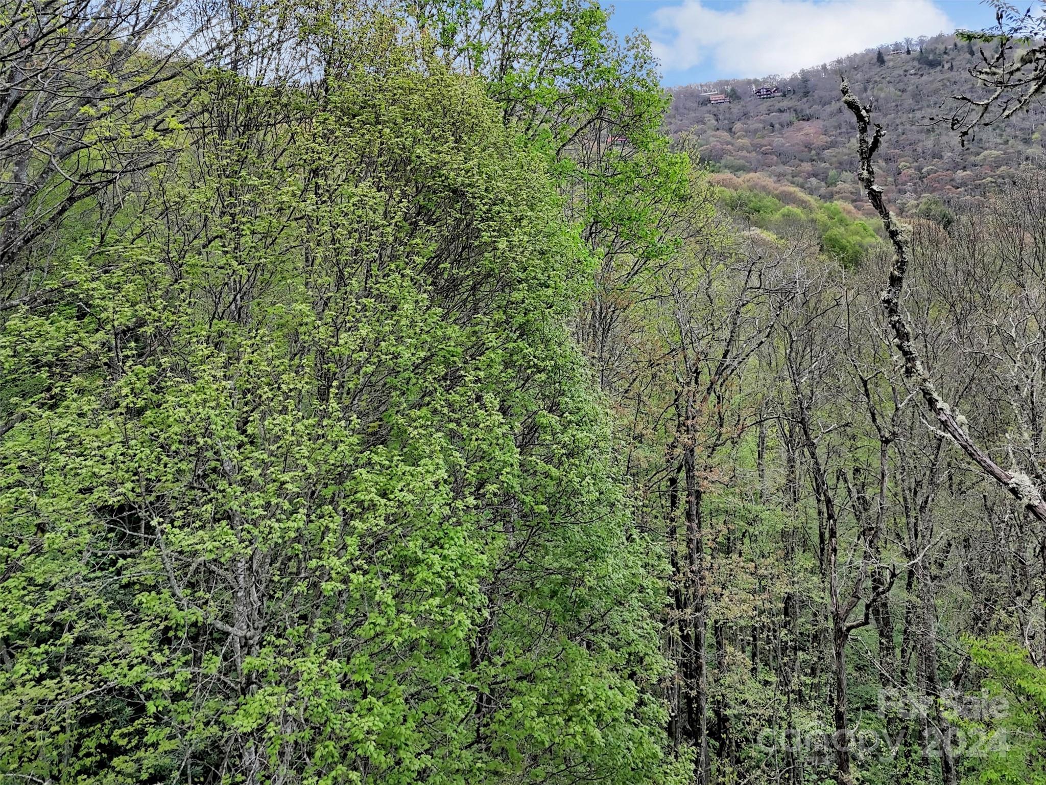 Lot 18 Quail Ridge Drive Maggie Valley NC 28751