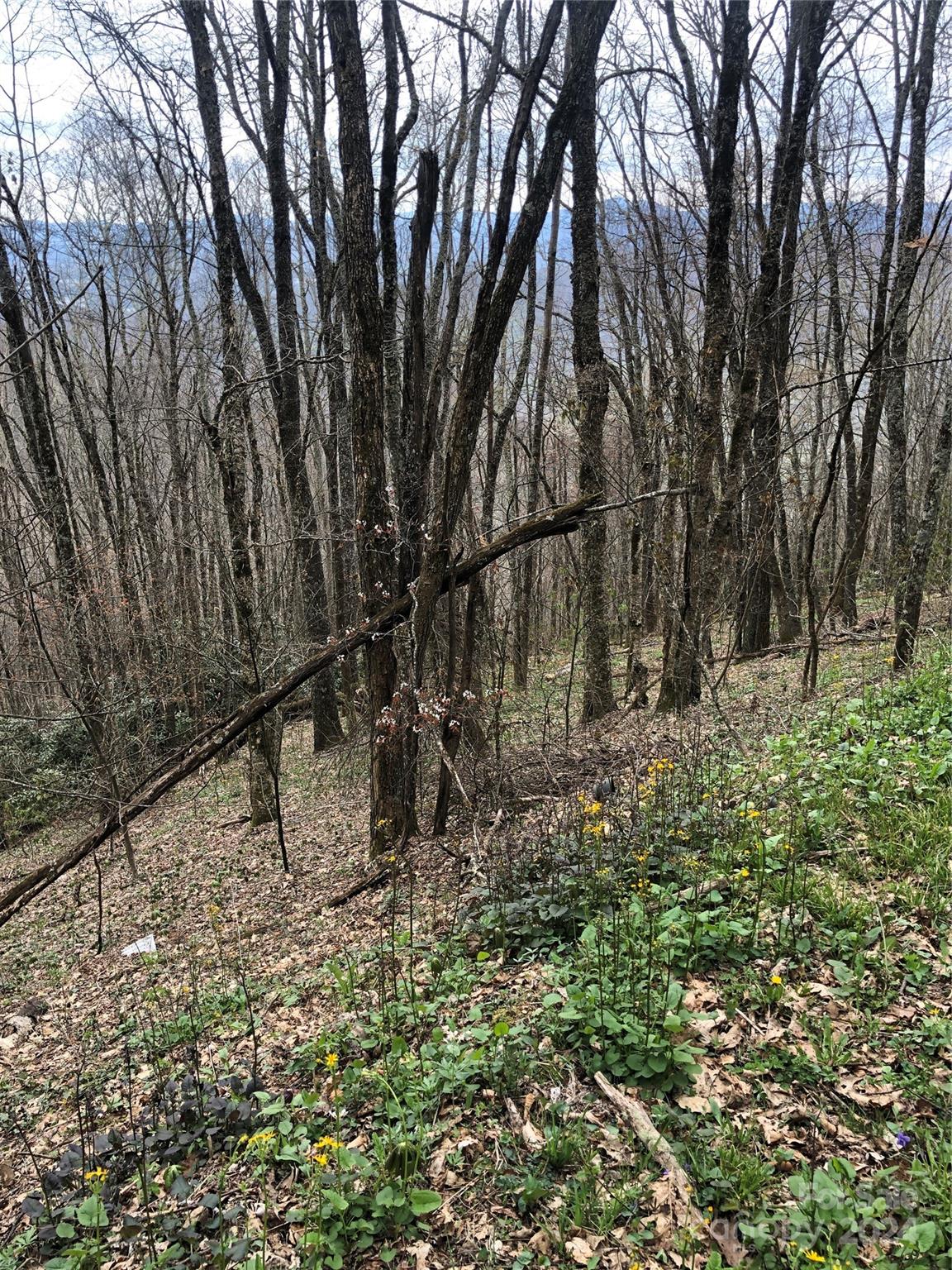 Lot 18 Quail Ridge Drive Maggie Valley NC 28751
