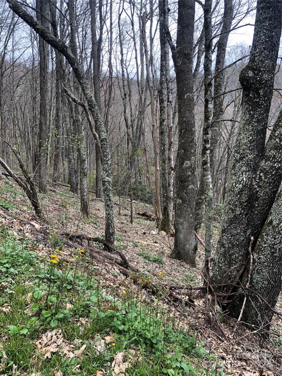 Lot 18 Quail Ridge Drive Maggie Valley NC 28751