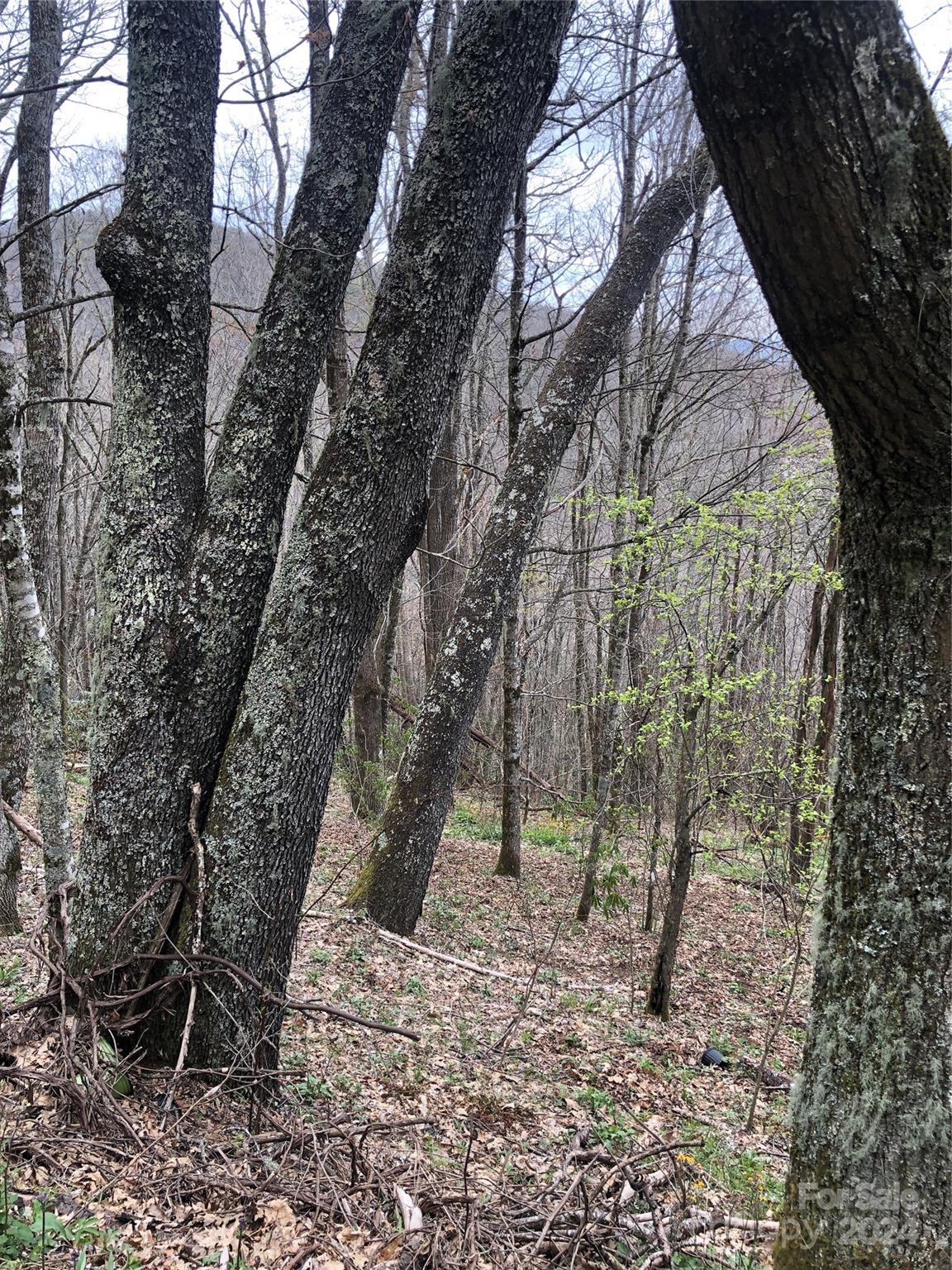 Lot 18 Quail Ridge Drive Maggie Valley NC 28751