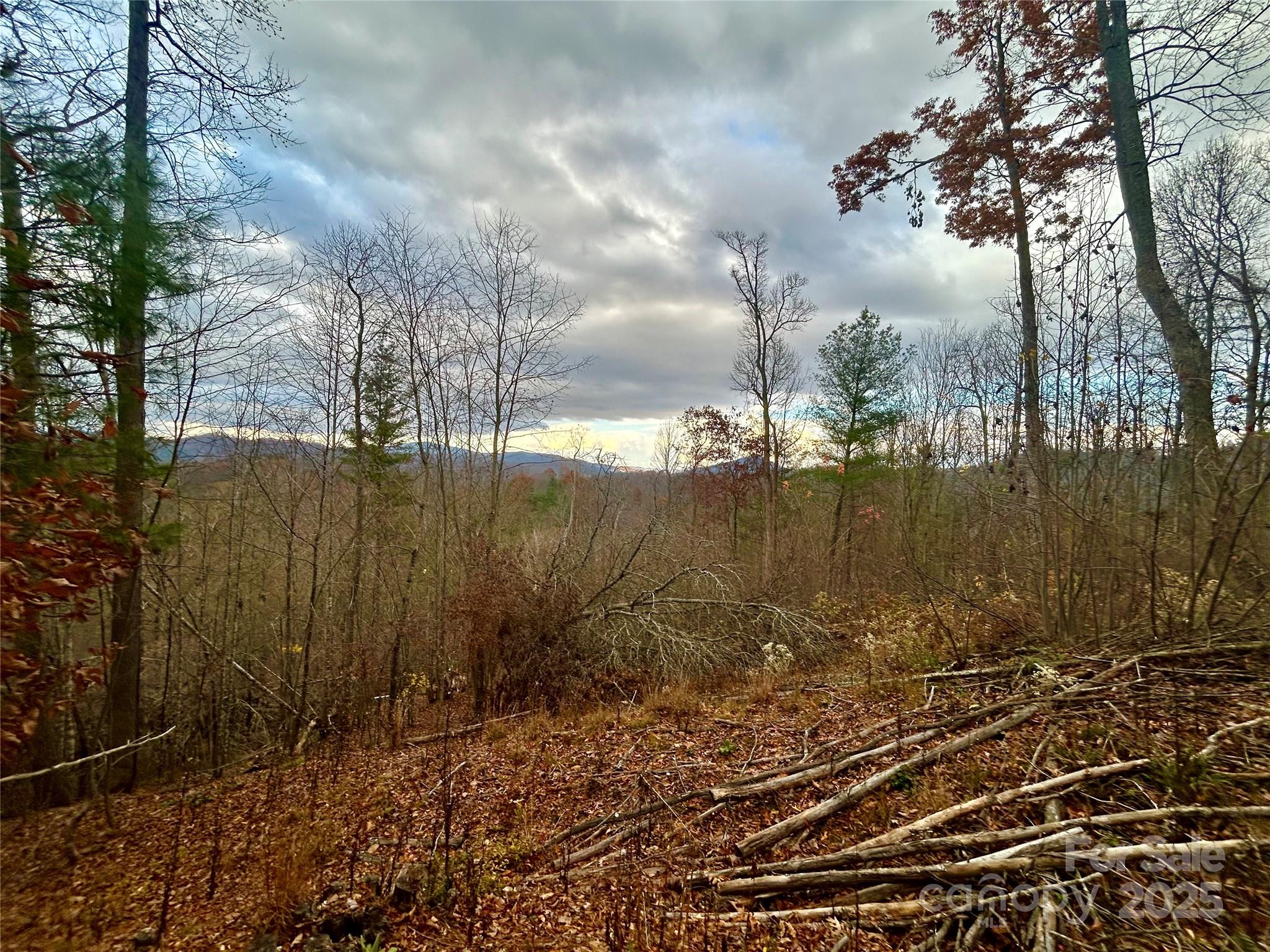 00000 High Peak Ridge Green Mountain NC 28740