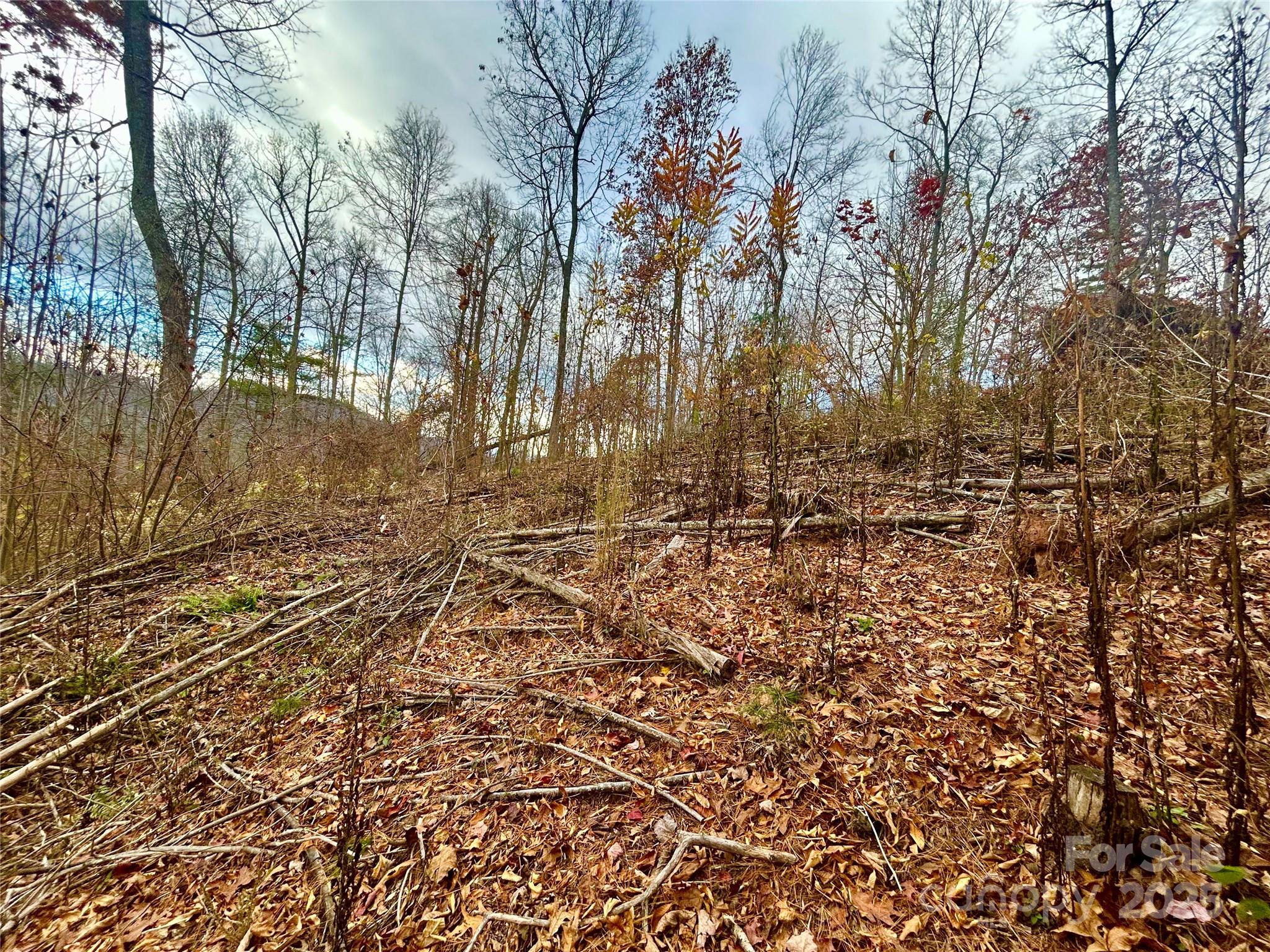 00000 High Peak Ridge Green Mountain NC 28740