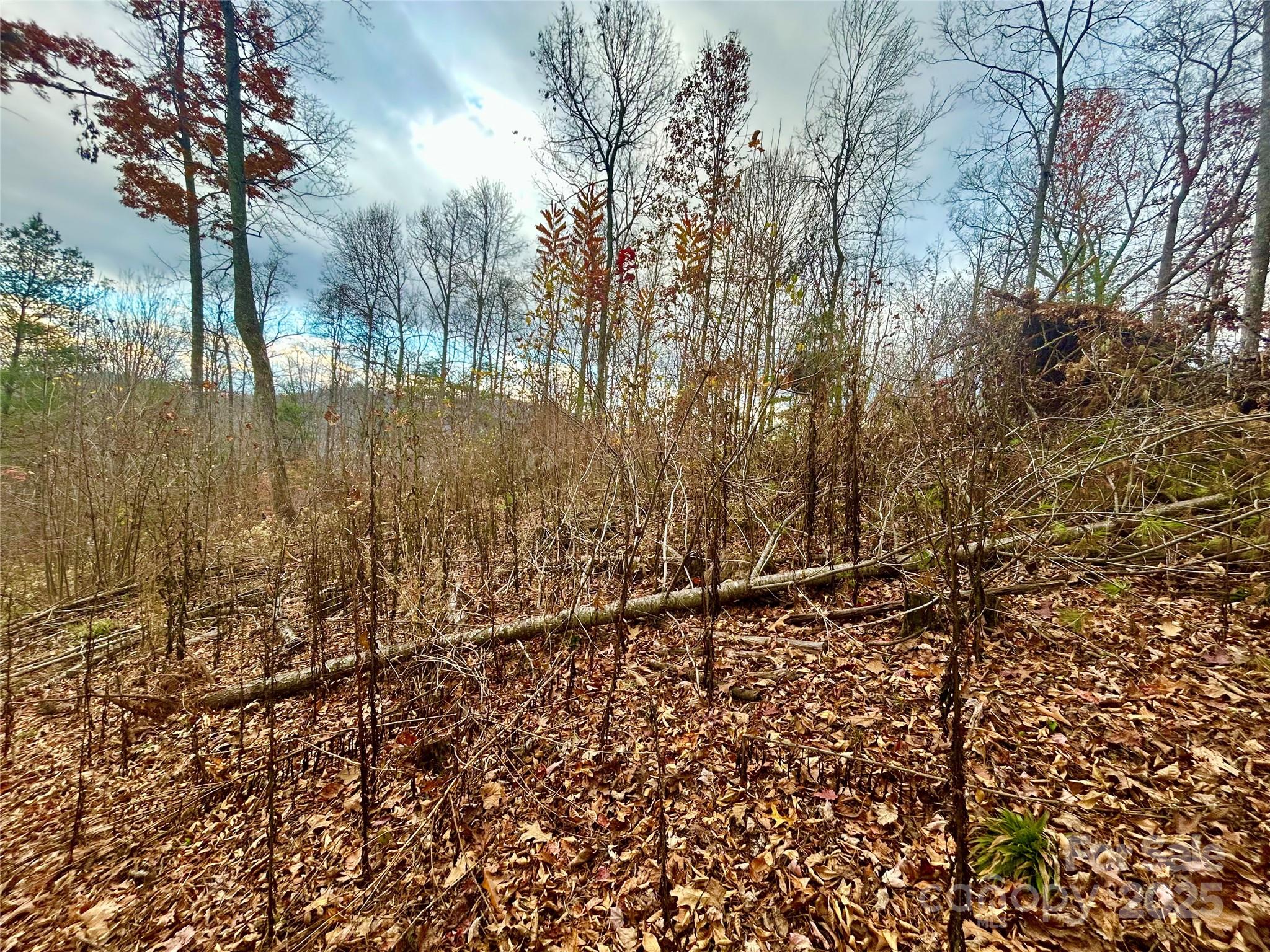 00000 High Peak Ridge Green Mountain NC 28740