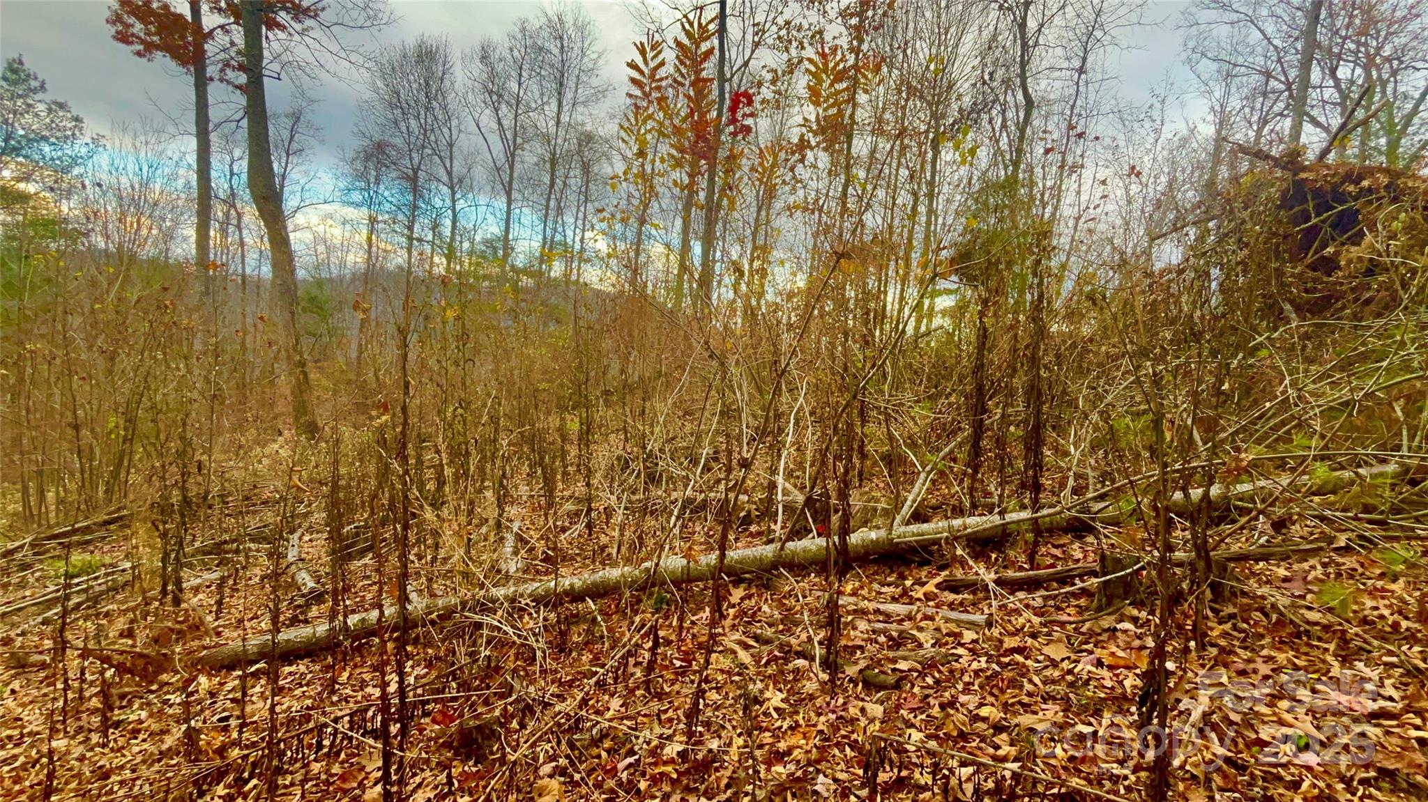 00000 High Peak Ridge Green Mountain NC 28740