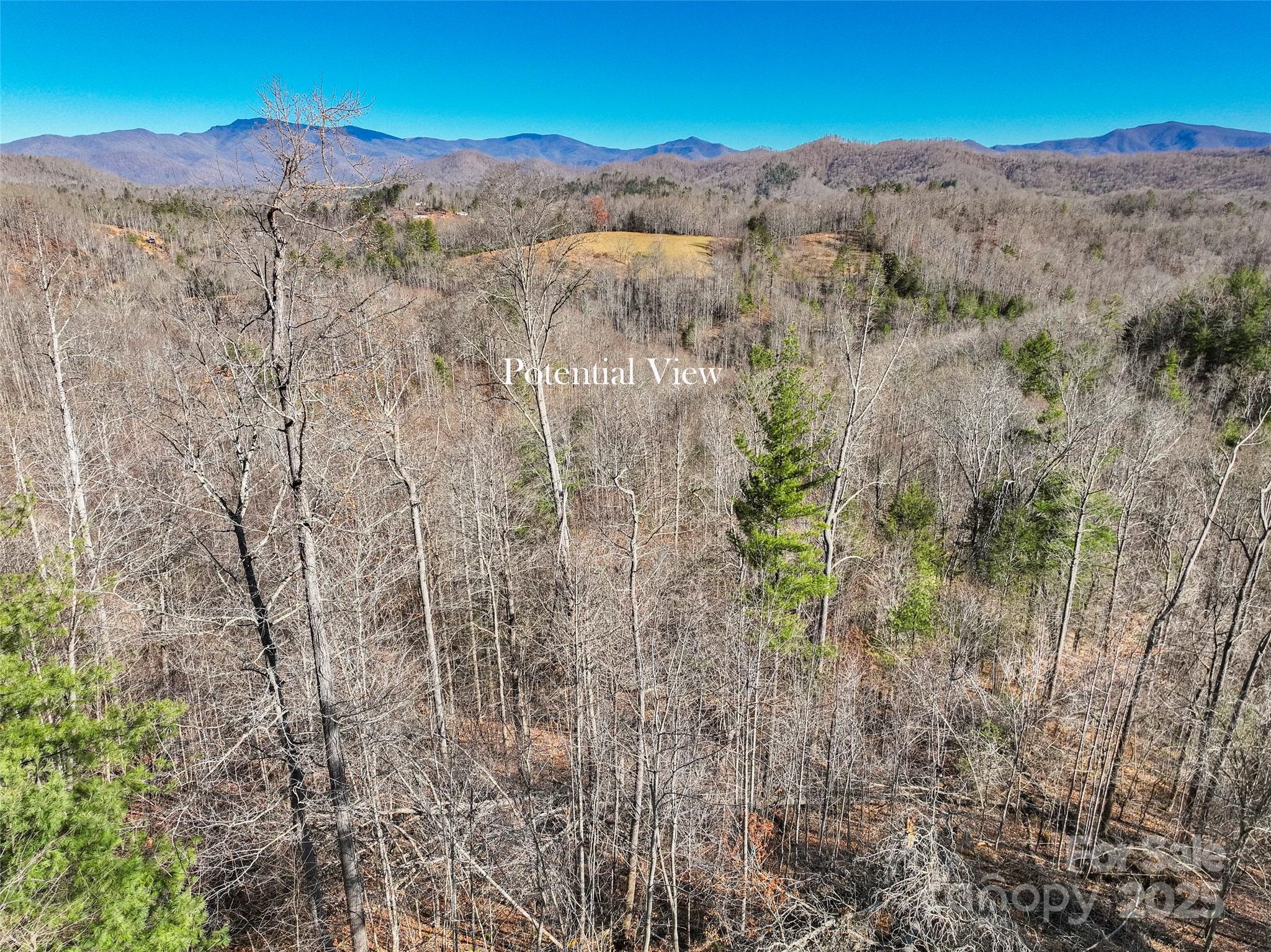 00000 High Peak Ridge Green Mountain NC 28740