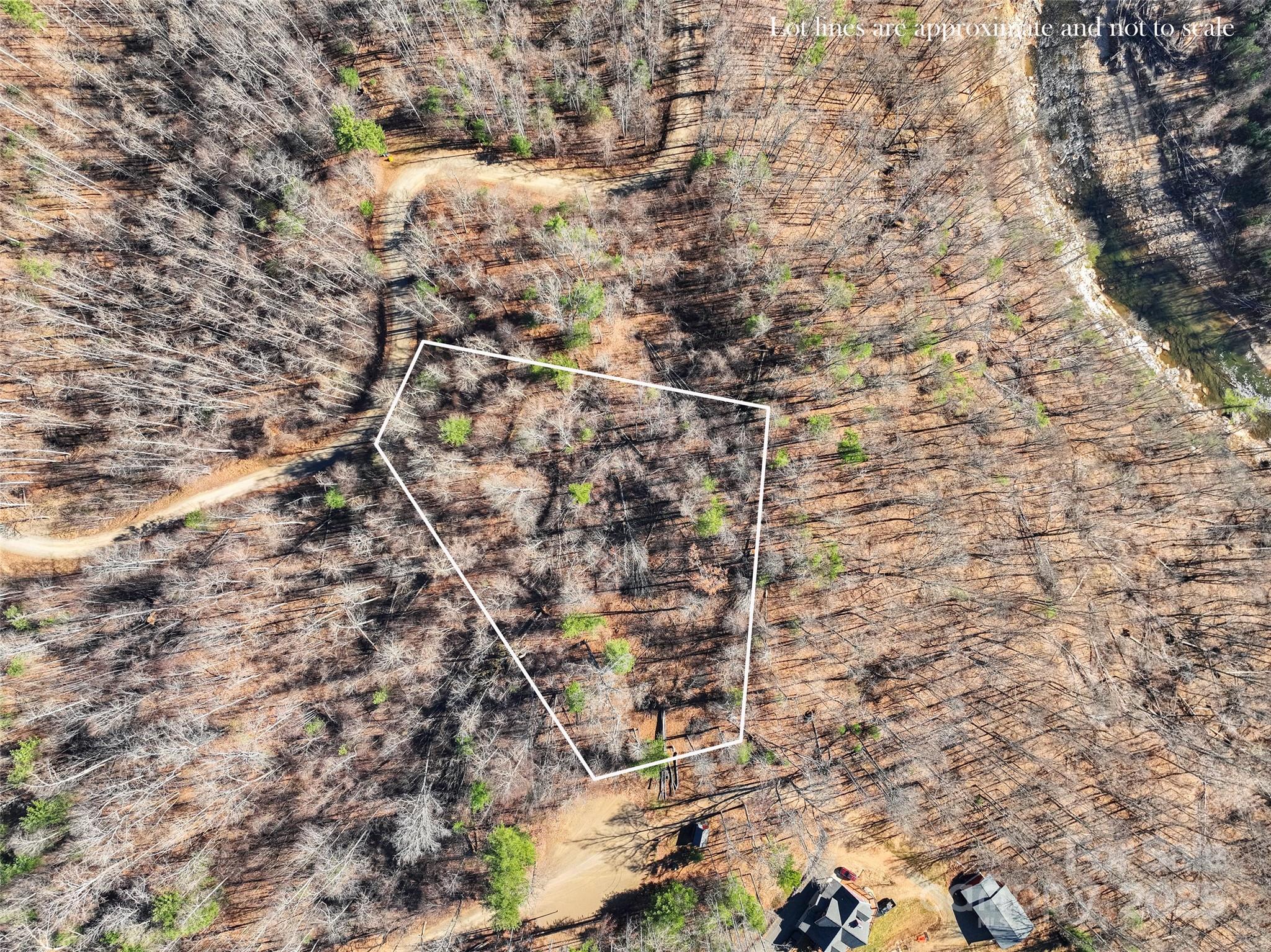 00000 High Peak Ridge Green Mountain NC 28740