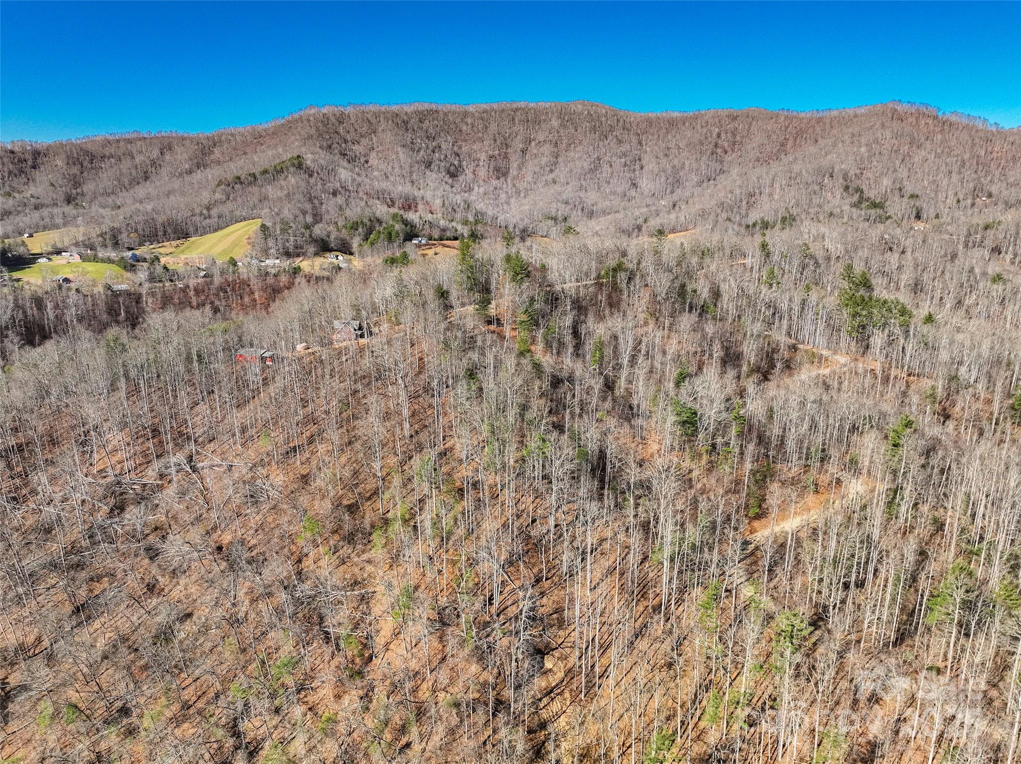 00000 High Peak Ridge Green Mountain NC 28740