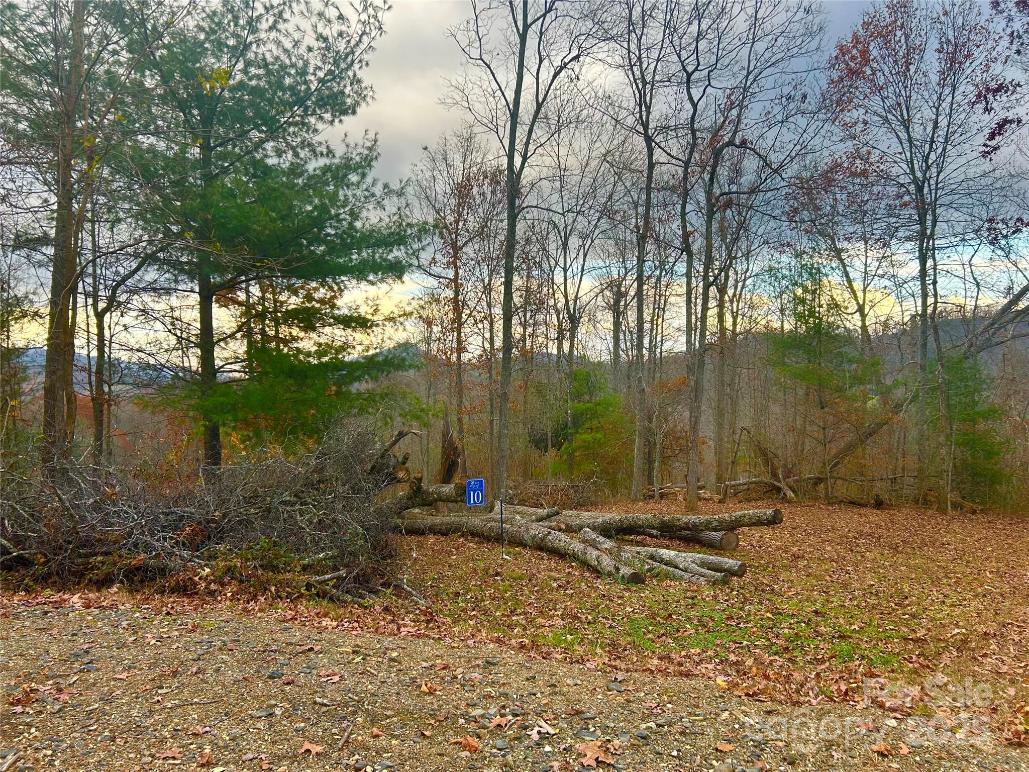 00000 High Peak Ridge Green Mountain NC 28740