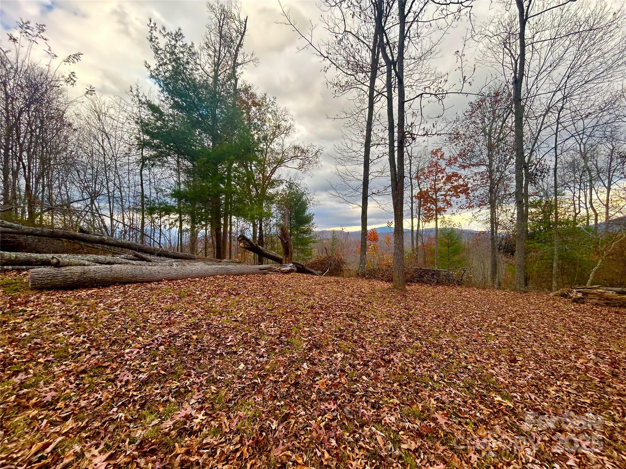 00000 High Peak Ridge Green Mountain NC 28740
