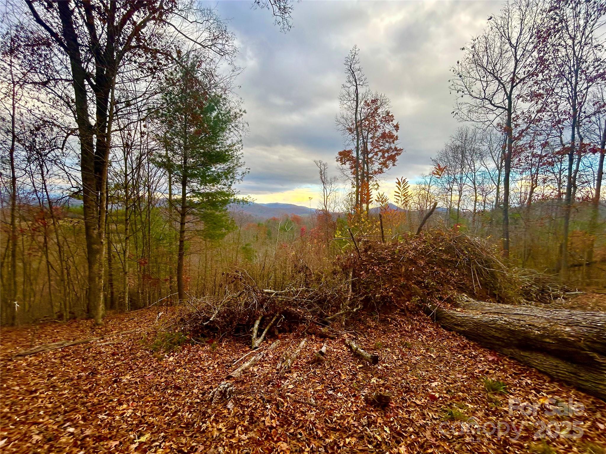 00000 High Peak Ridge Green Mountain NC 28740