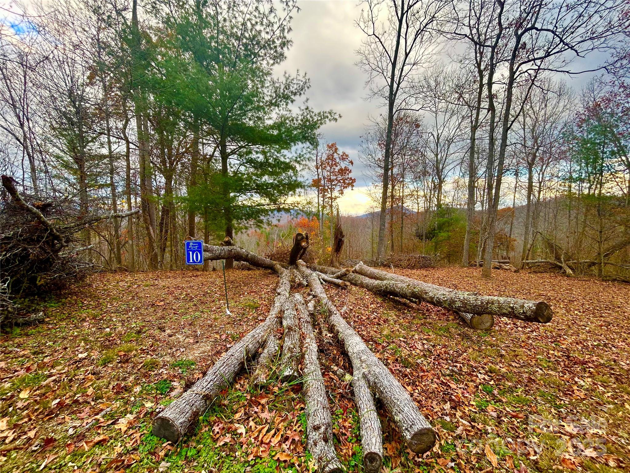 00000 High Peak Ridge Green Mountain NC 28740