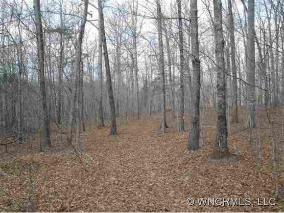 Lot J Fox Haven Plantation Rutherfordton NC 28139