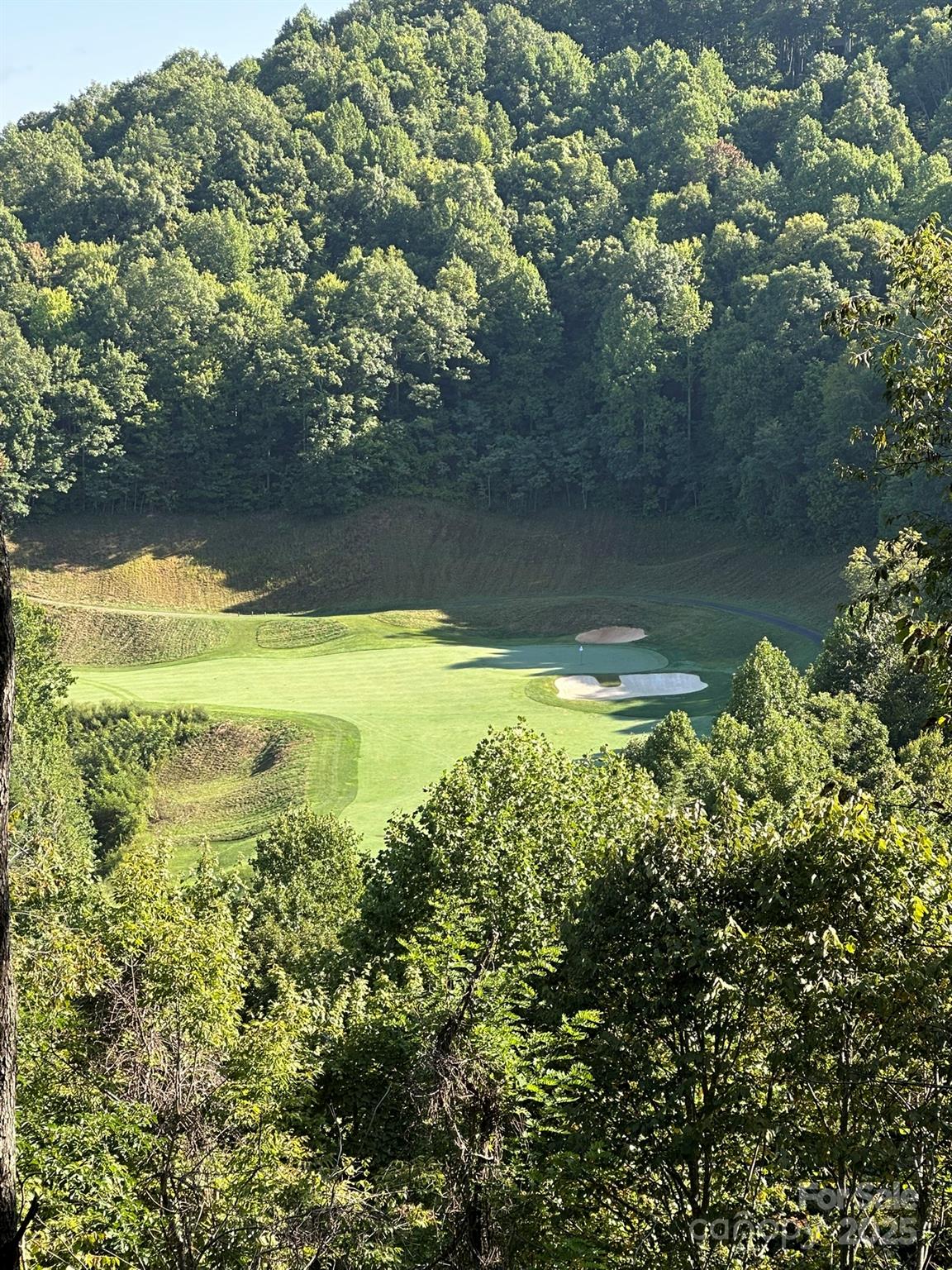 142 Old Growth Way Sylva NC 28779
