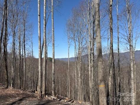 142 Old Growth Way Sylva NC 28779
