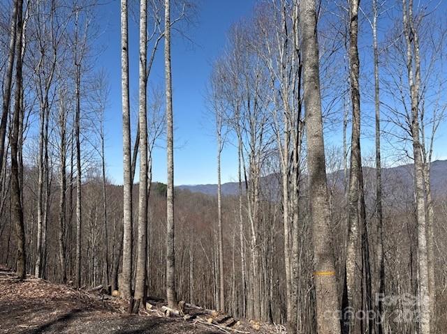 142 Old Growth Way Sylva NC 28779