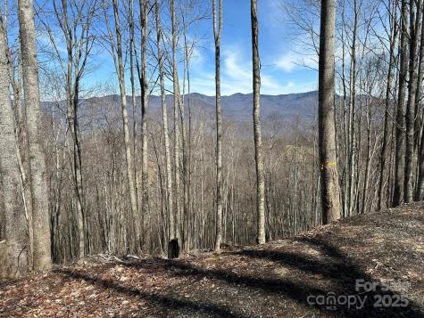 142 Old Growth Way Sylva NC 28779