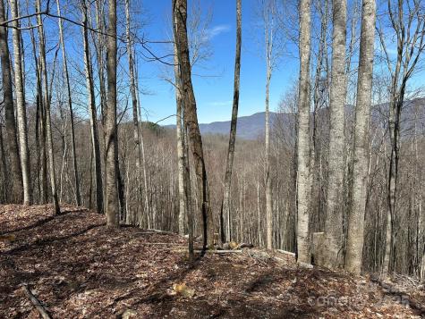 142 Old Growth Way Sylva NC 28779