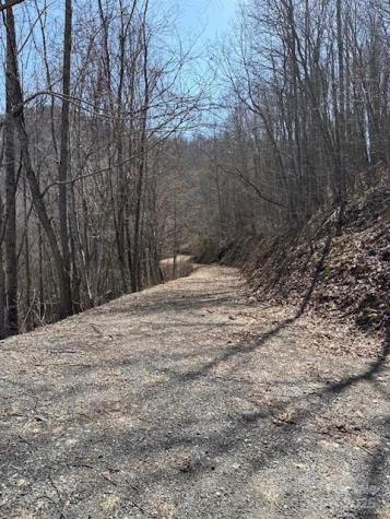 142 Old Growth Way Sylva NC 28779