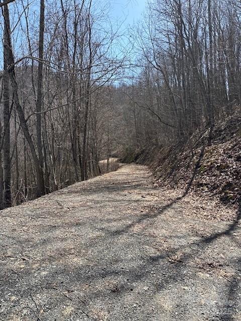 142 Old Growth Way Sylva NC 28779