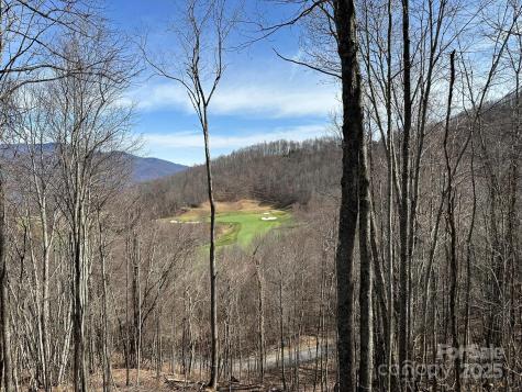 142 Old Growth Way Sylva NC 28779