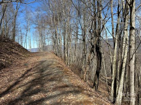 142 Old Growth Way Sylva NC 28779